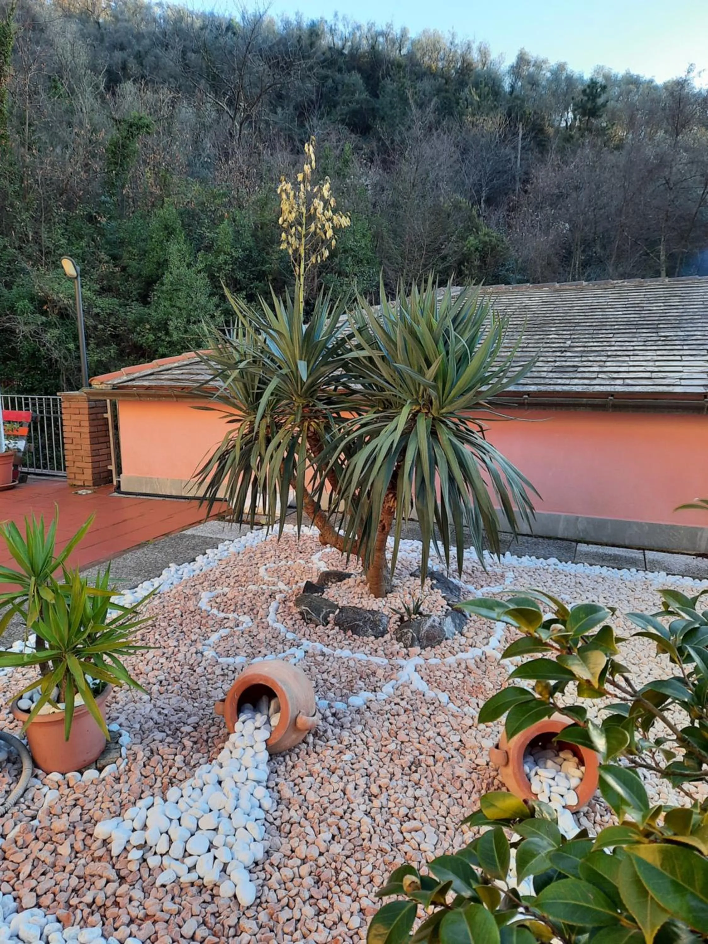 Garden in B&B Vignola