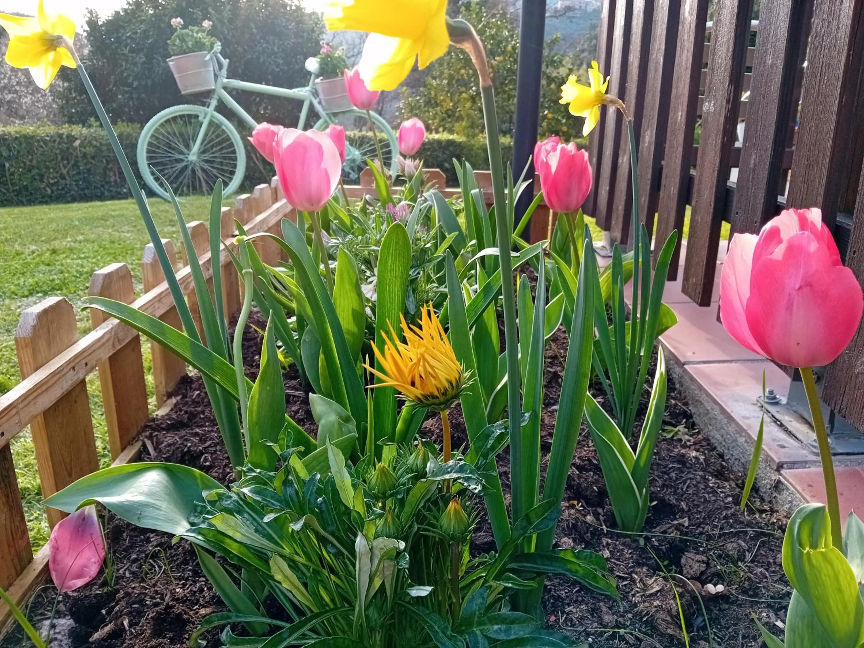 Garden in B&B Vignola