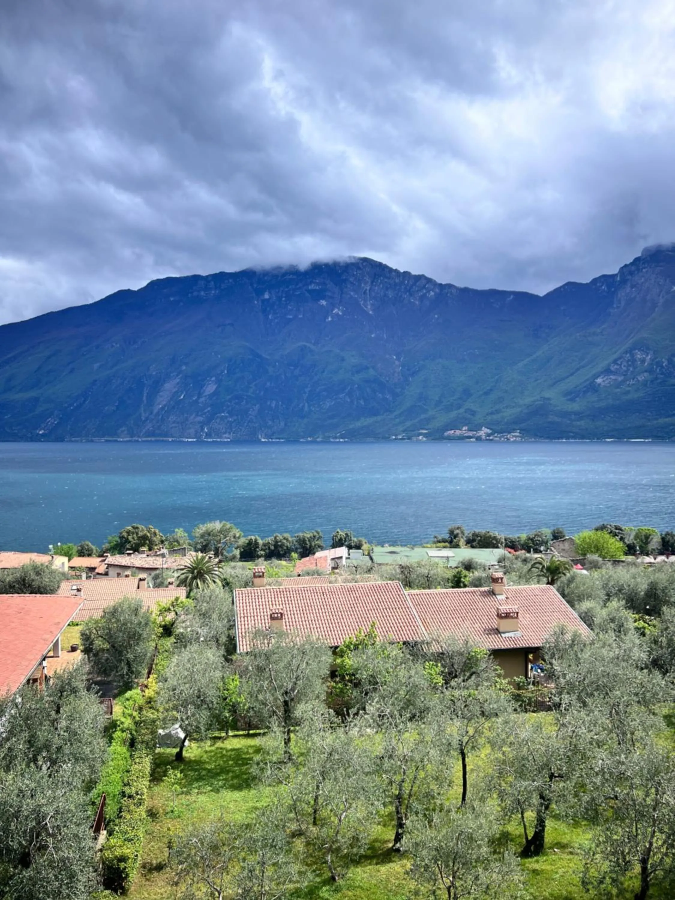 Photo of the whole room in Hotel Ilma Lake Garda Resort