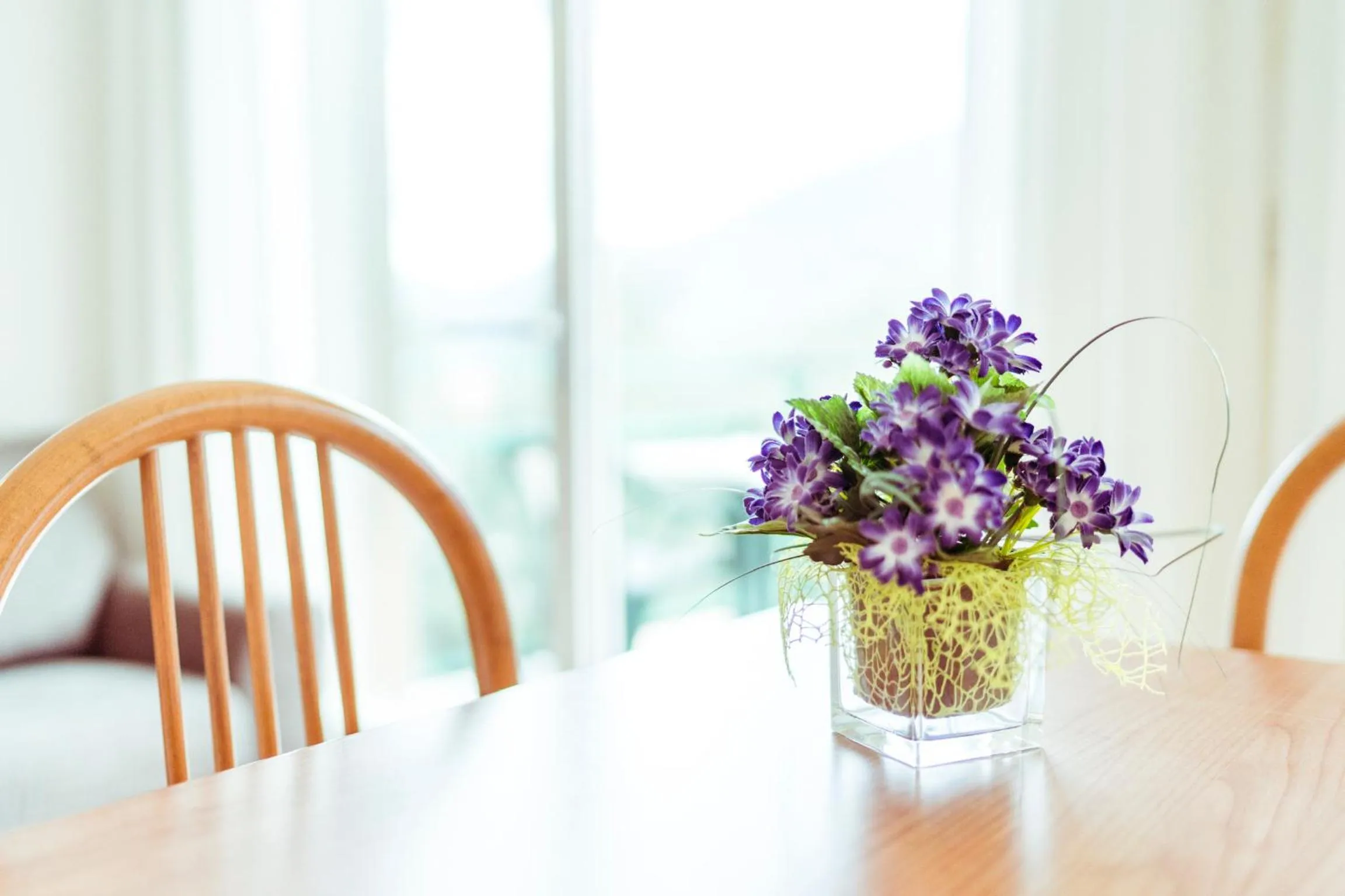 Other in Hotel Ilma Lake Garda Resort