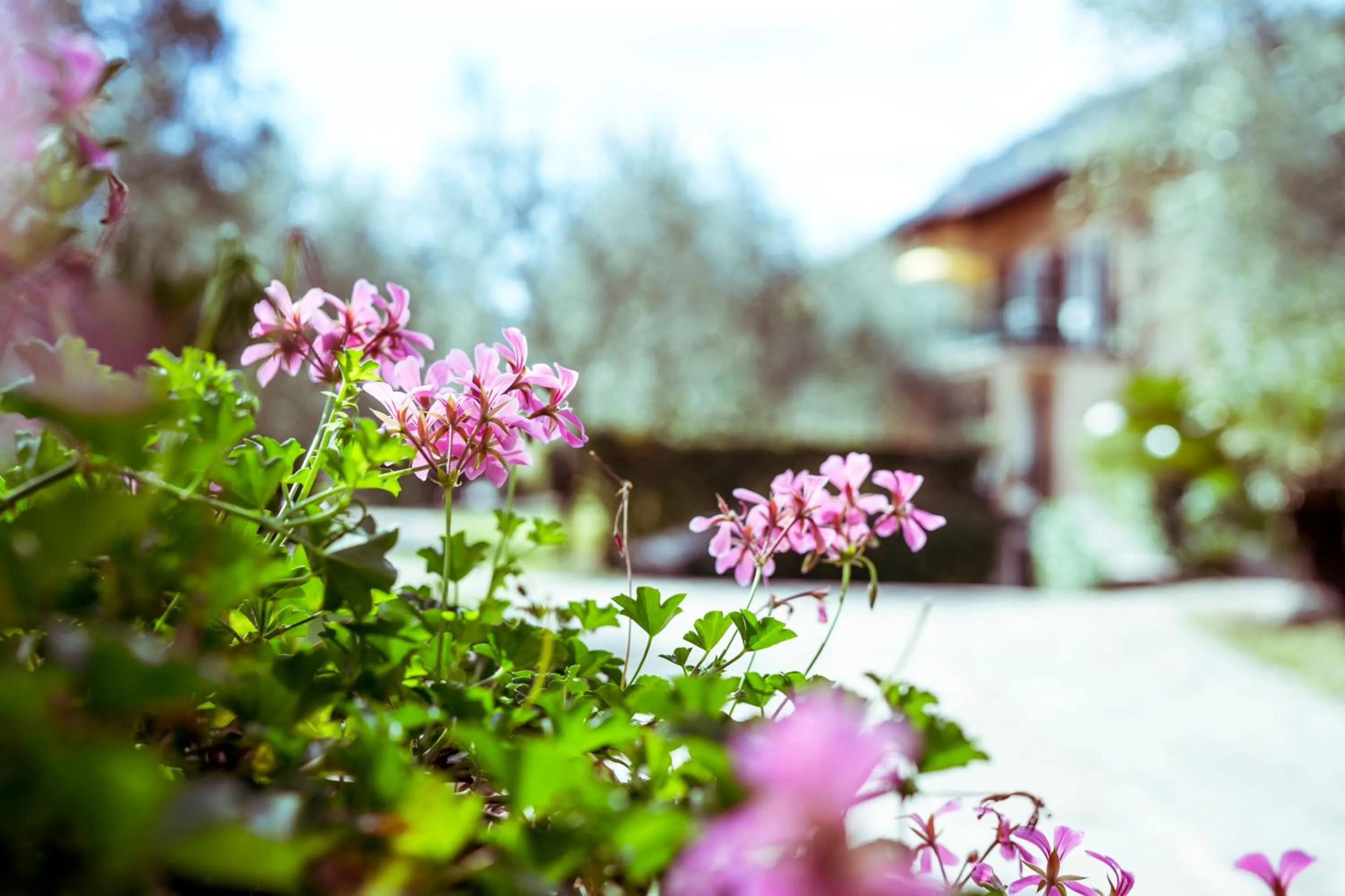 Decorative detail in Hotel Ilma Lake Garda Resort