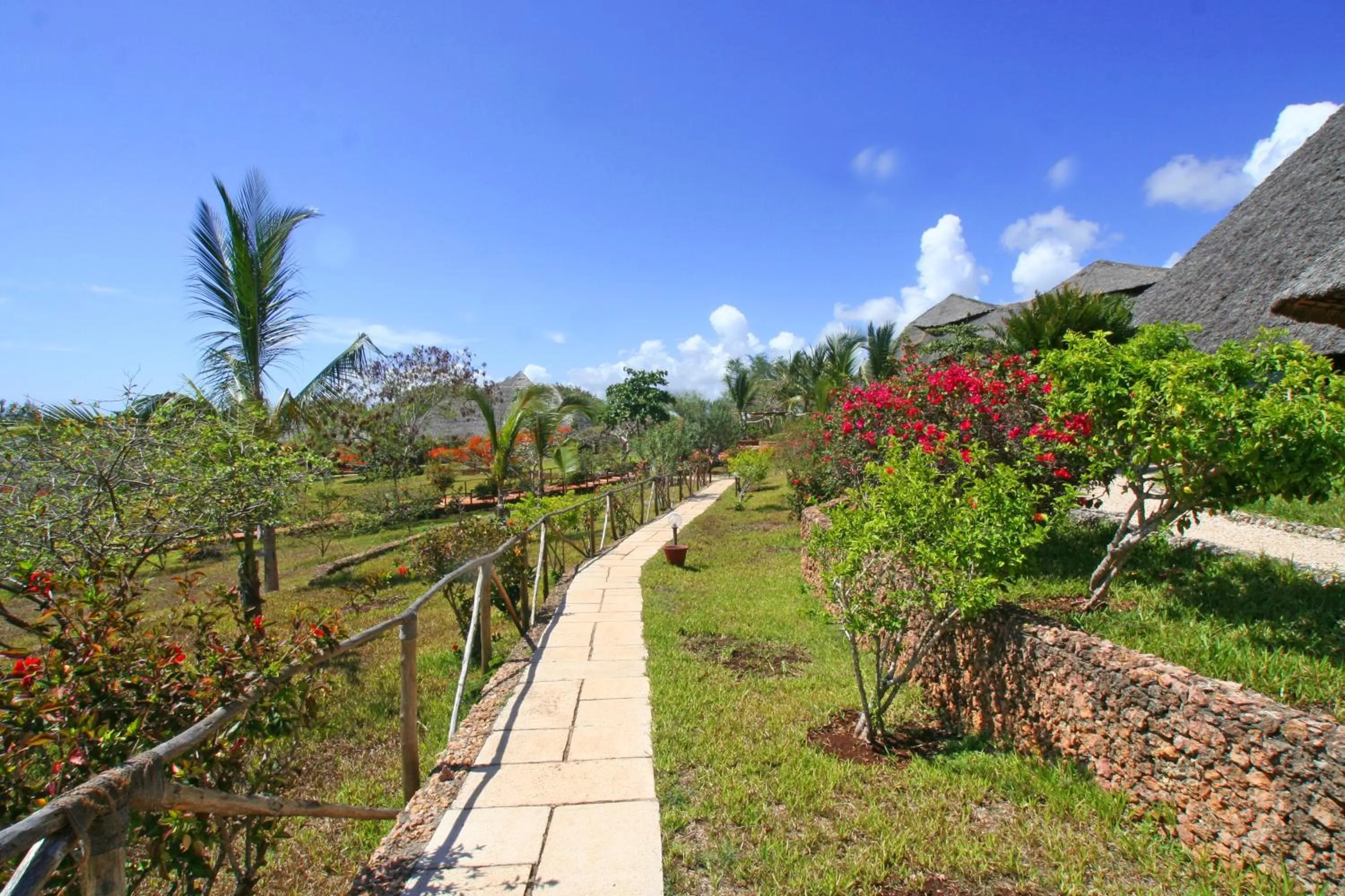 Property building in Hotel Club Dongwe