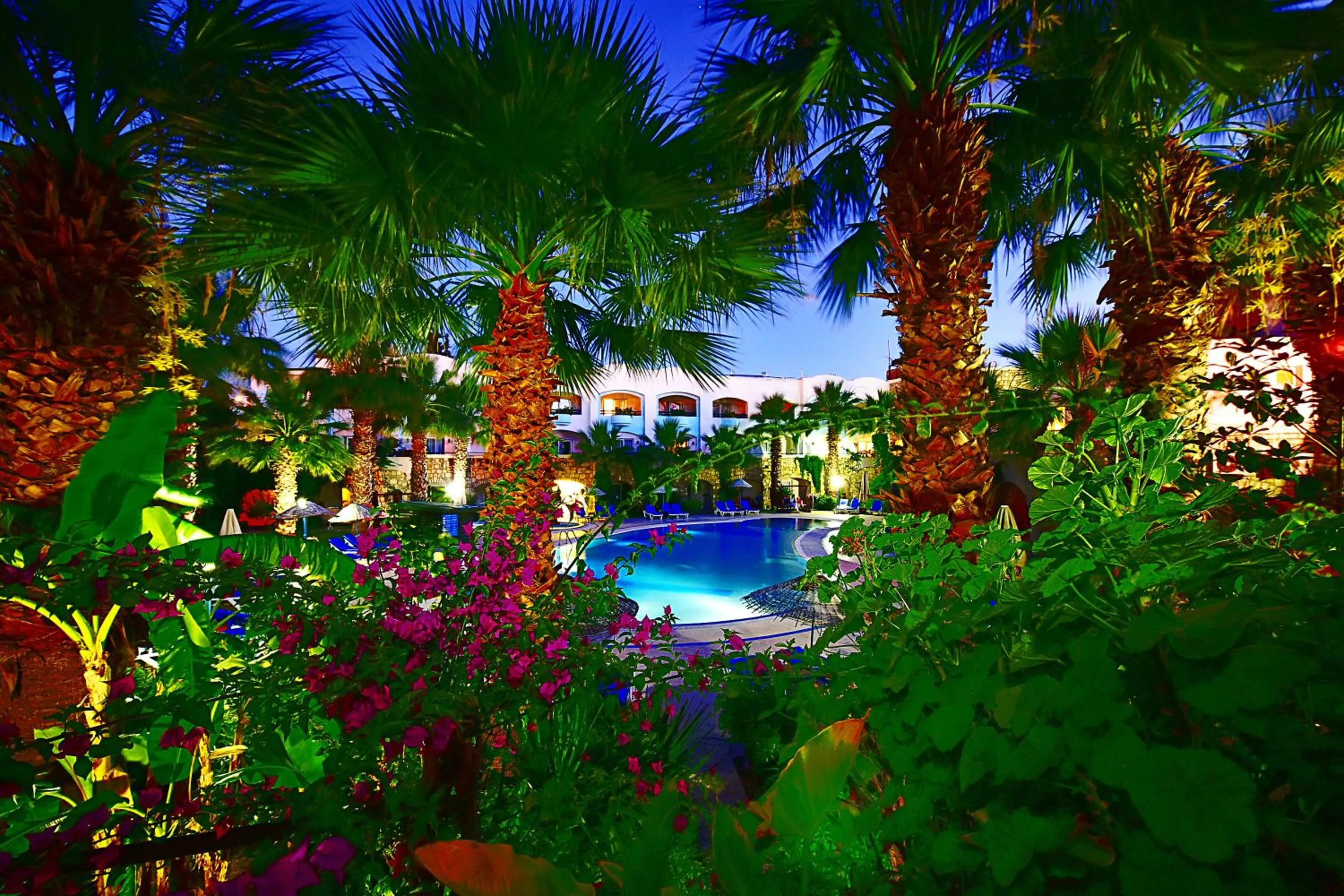 Natural landscape in Parkim Ayaz Hotel