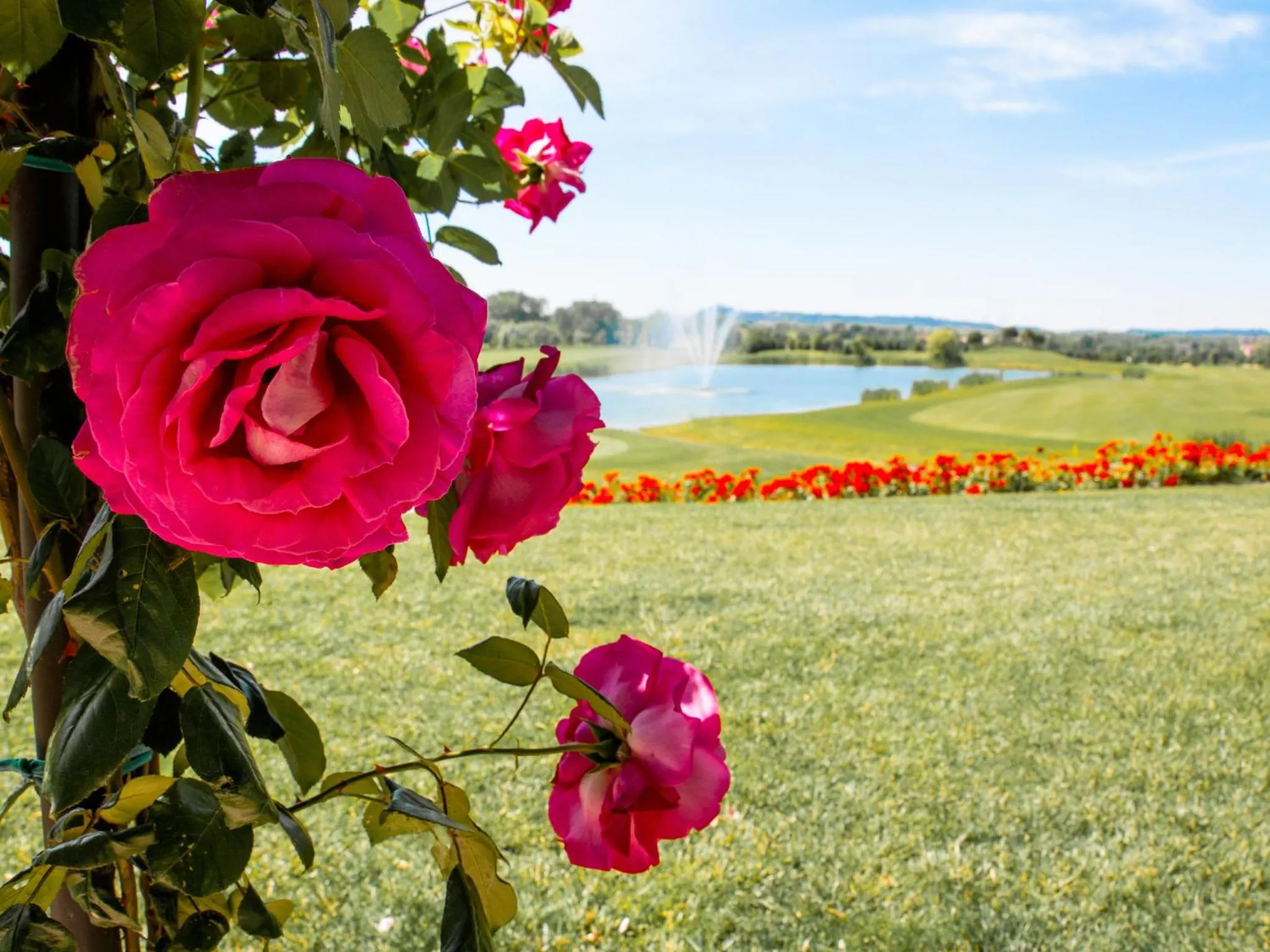 Golfcourse in Garda Hotel San Vigilio Golf