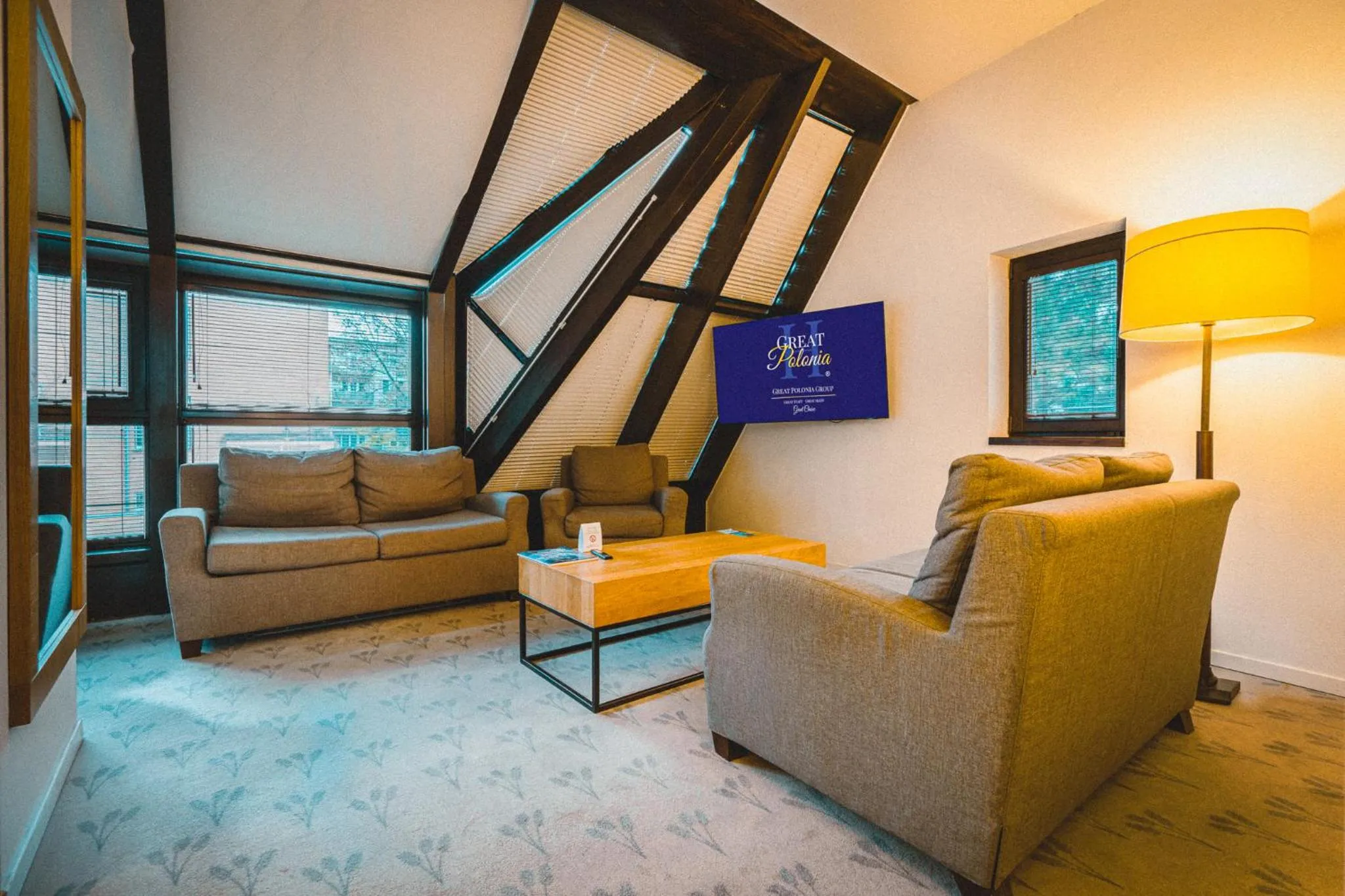 TV and multimedia in Great Polonia The Granary La Suite Hotel