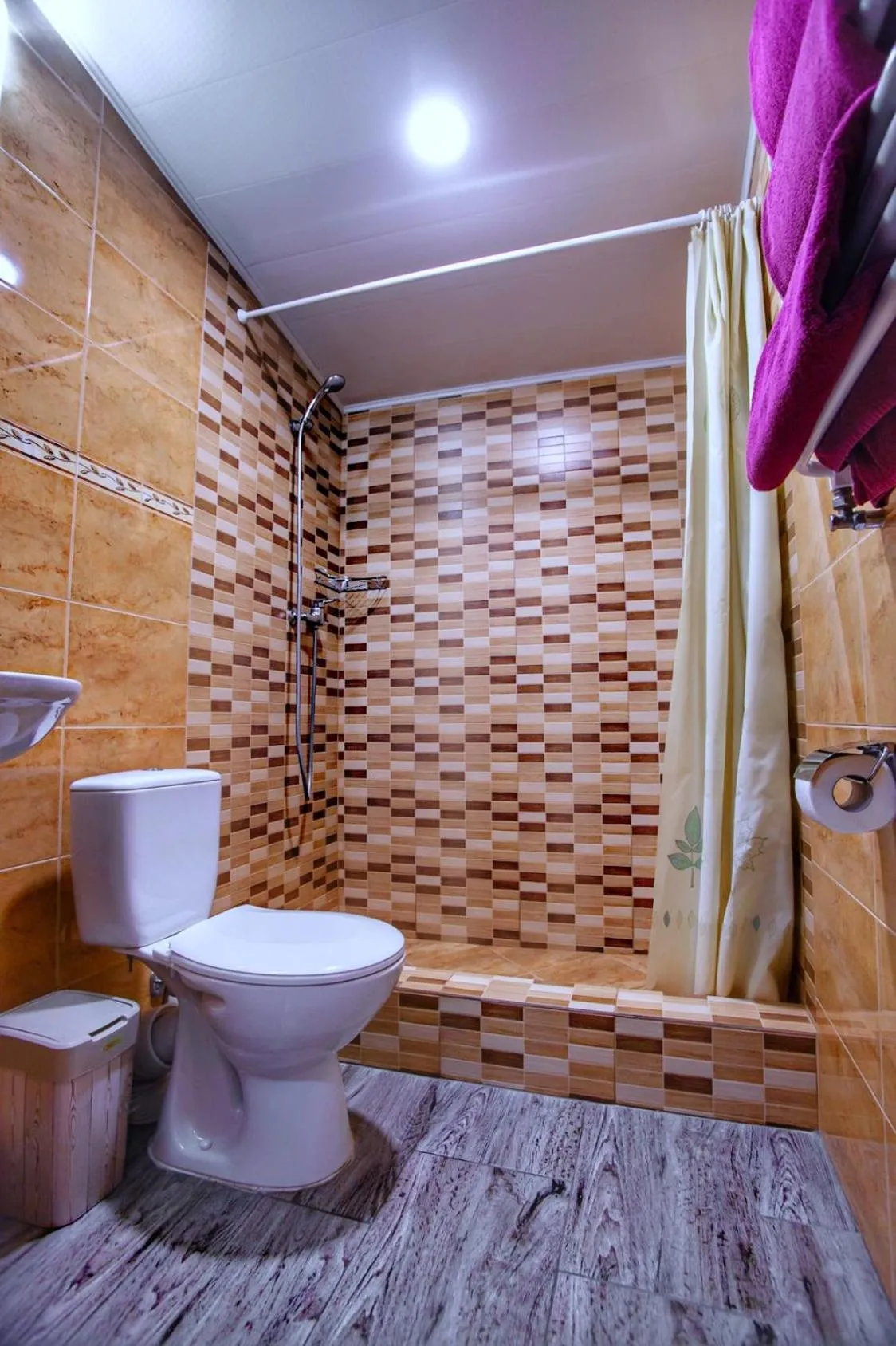 Shower in Hotel Fortuna