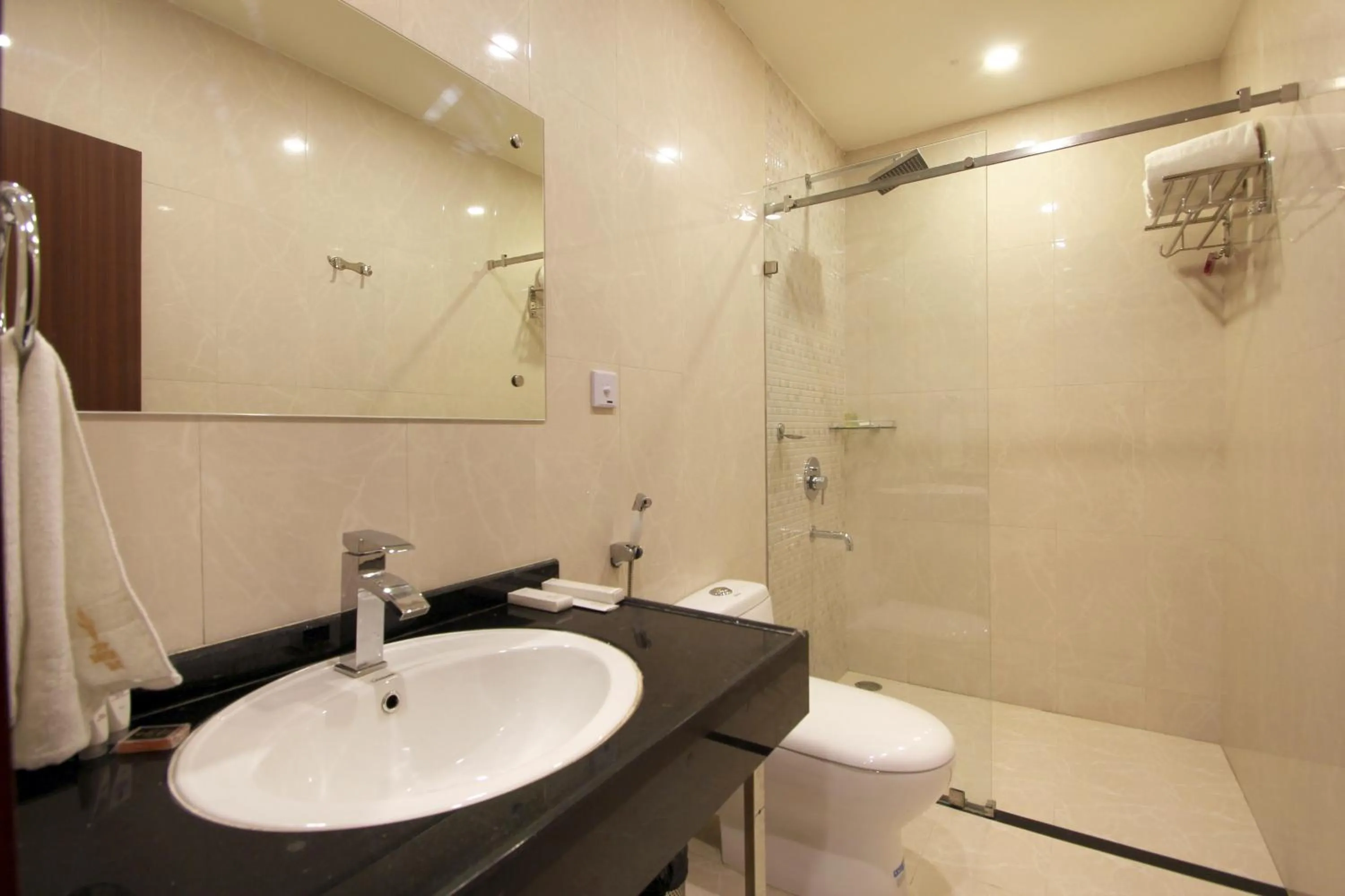 Toilet in Hotel Hyderabad Grand