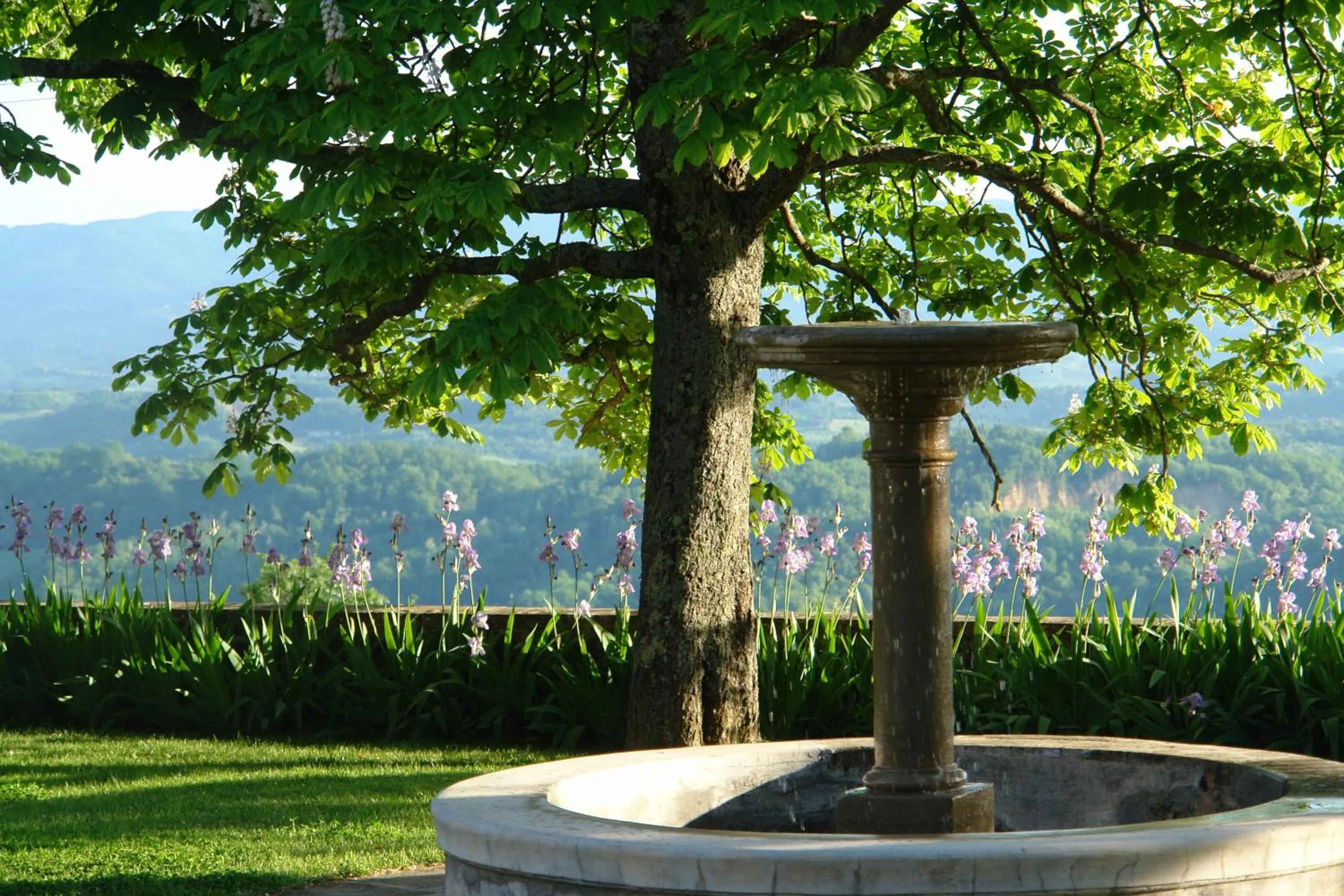 Property building in Relais Villa Belpoggio - Residenza D'Epoca