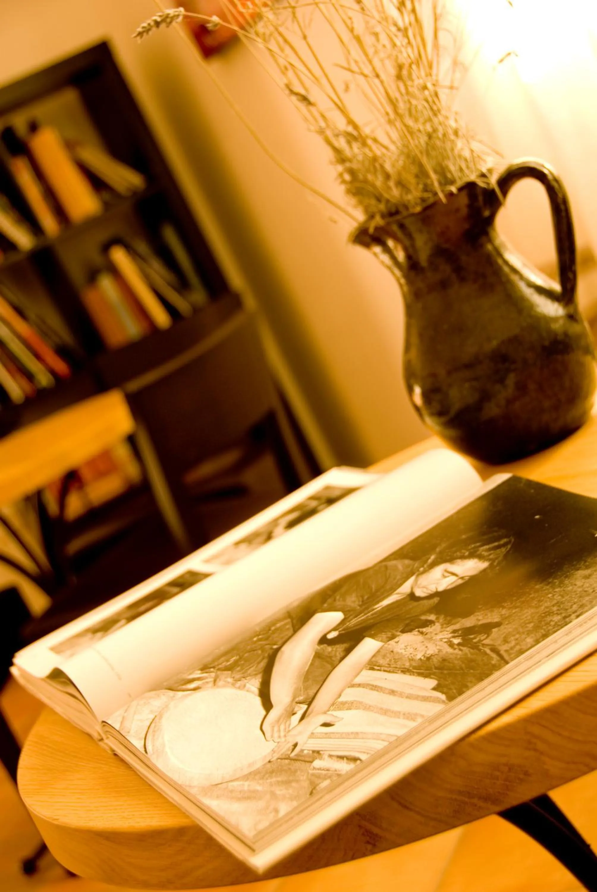 Library in Gorropu Hotel