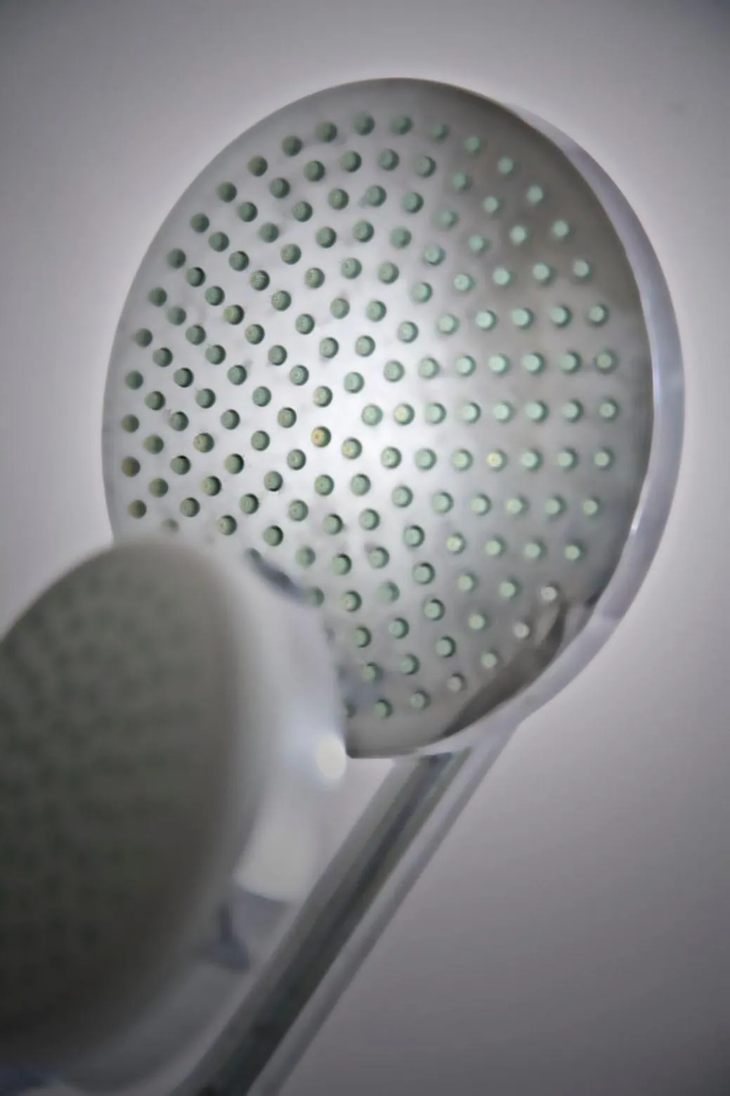 Apartamenty Pomarańczarnia