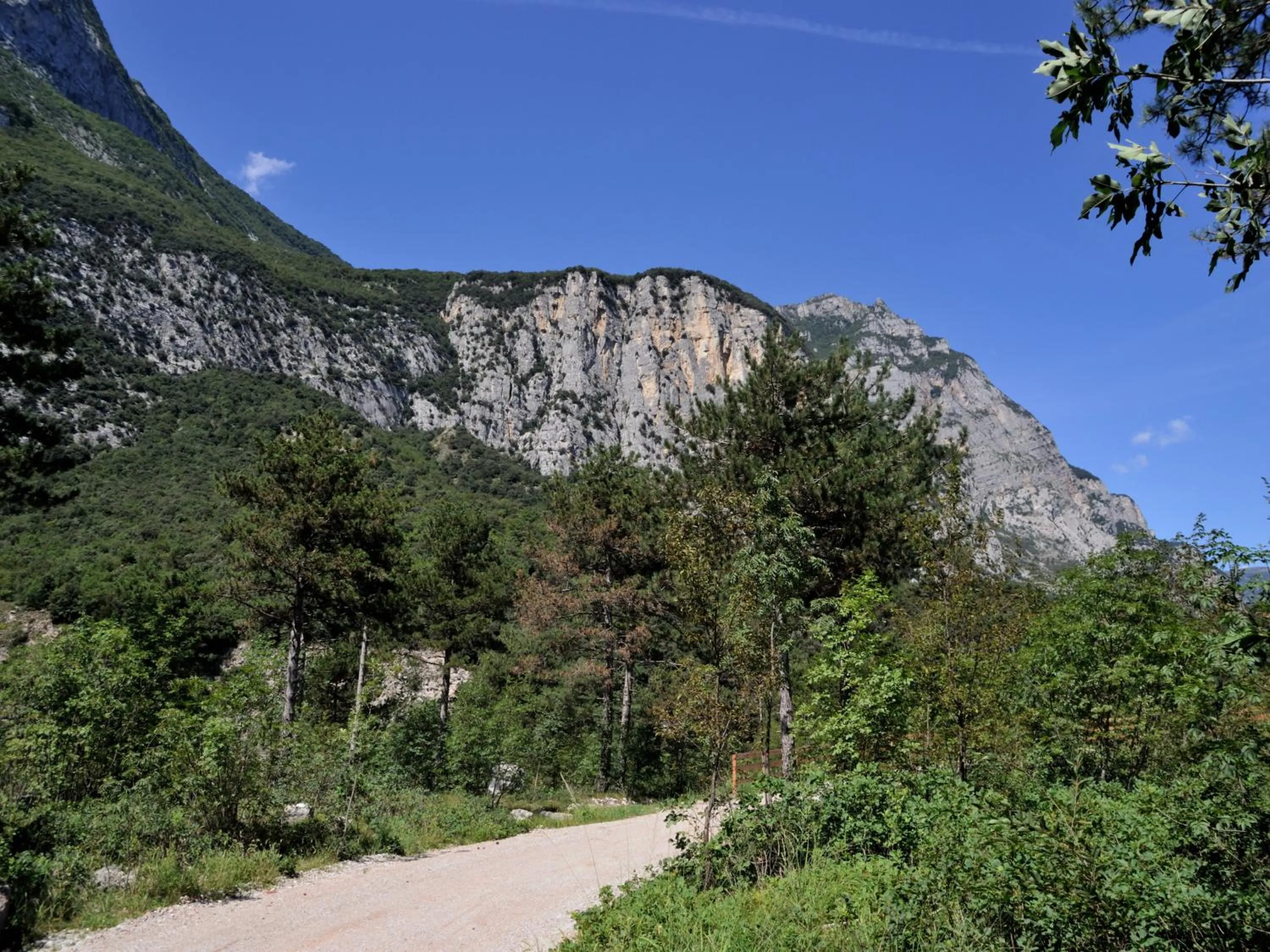 Area and facilities in Villa Franca