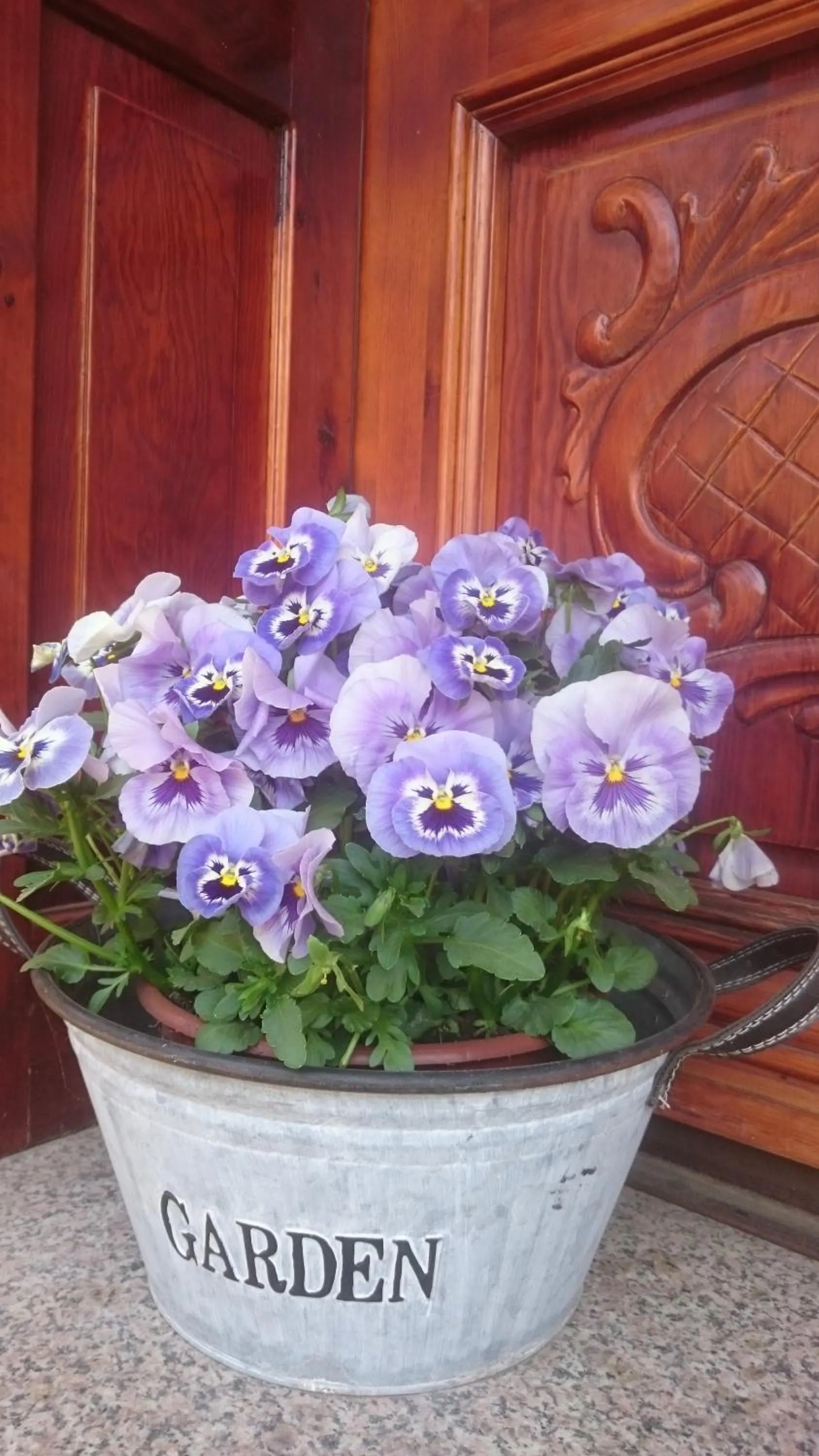 Garden in Letnia willa Jacuzzi & Sauna