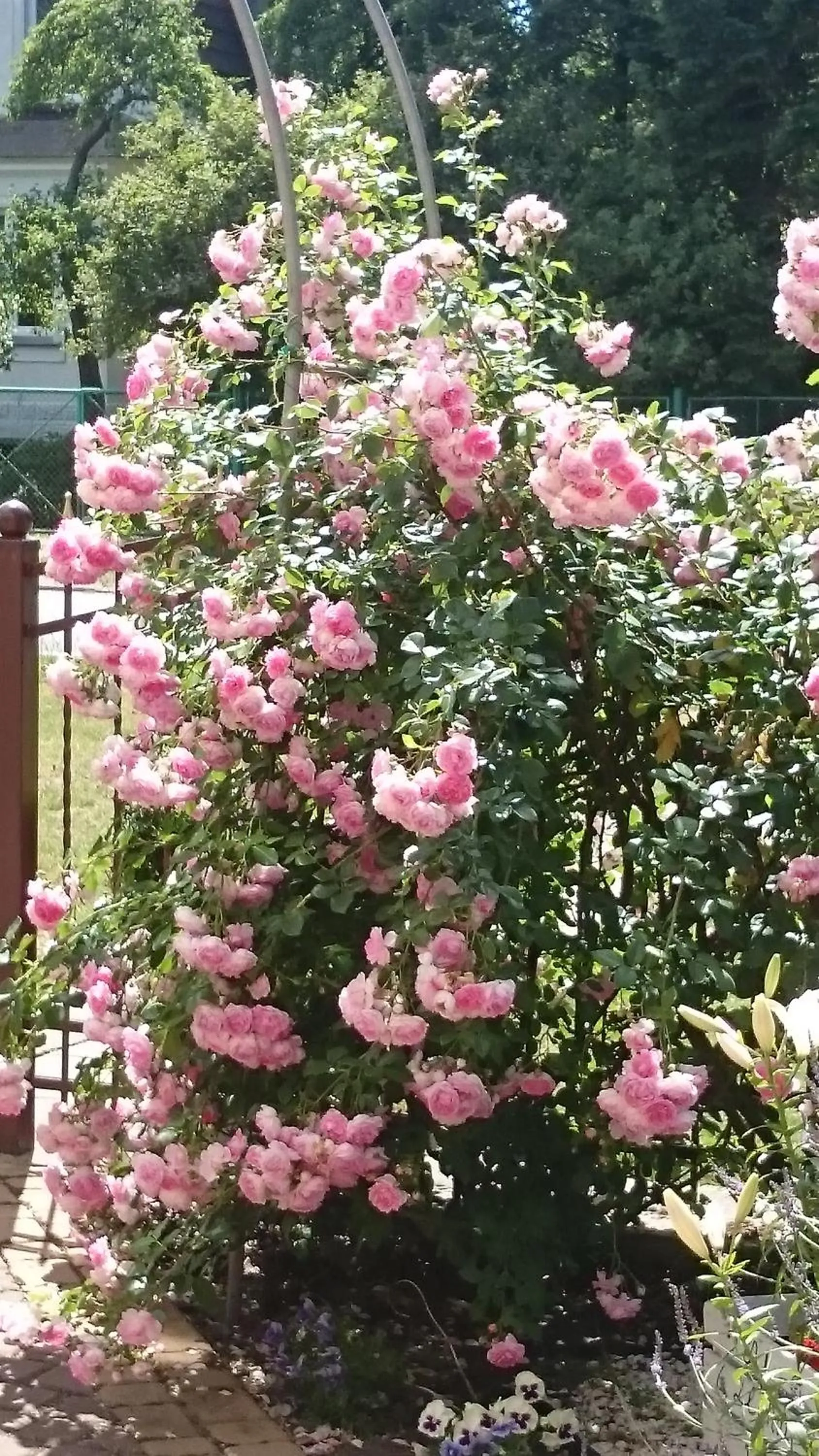 Spring in Letnia willa Jacuzzi & Sauna