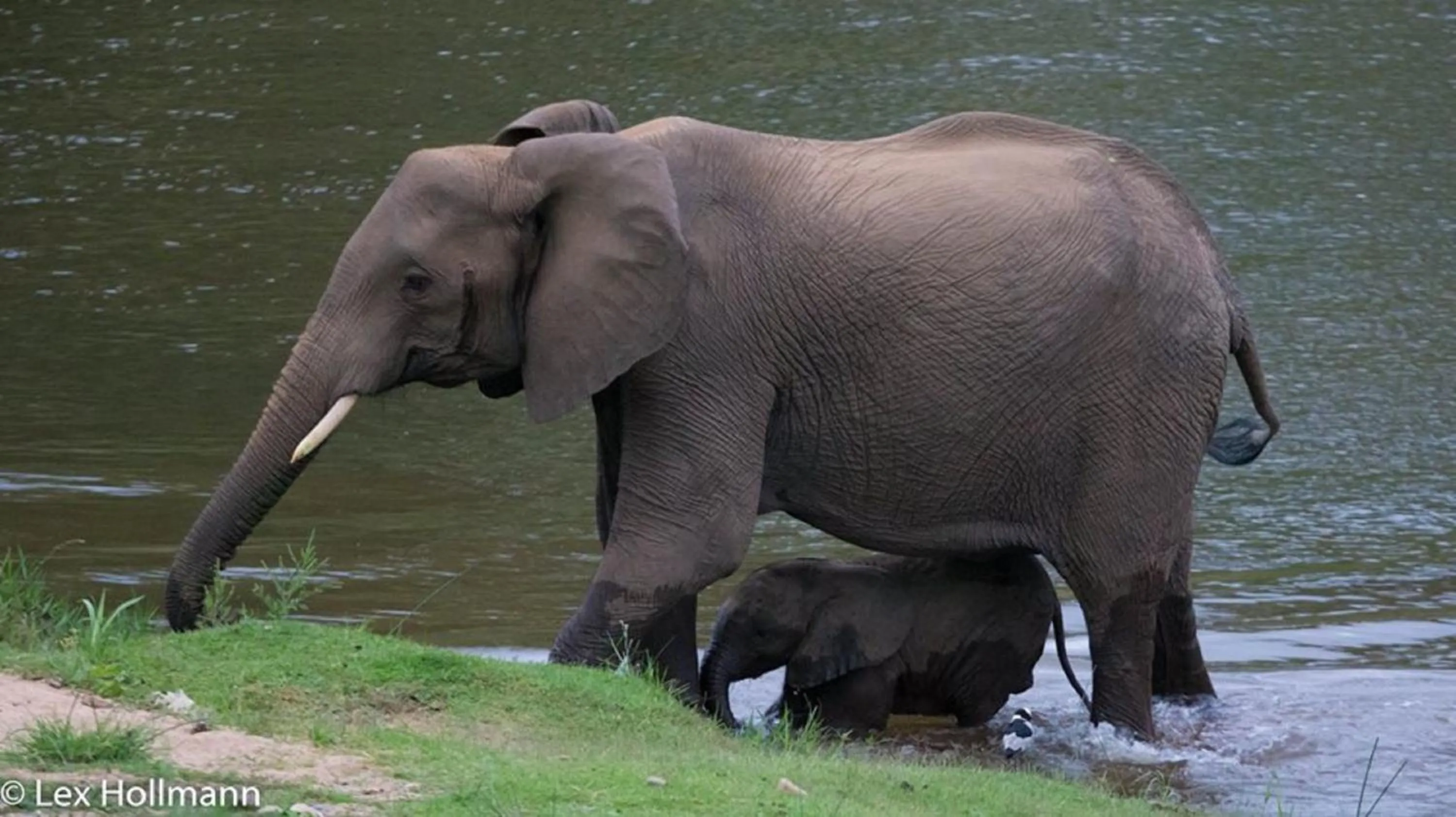 Text overlay in River House Lodge