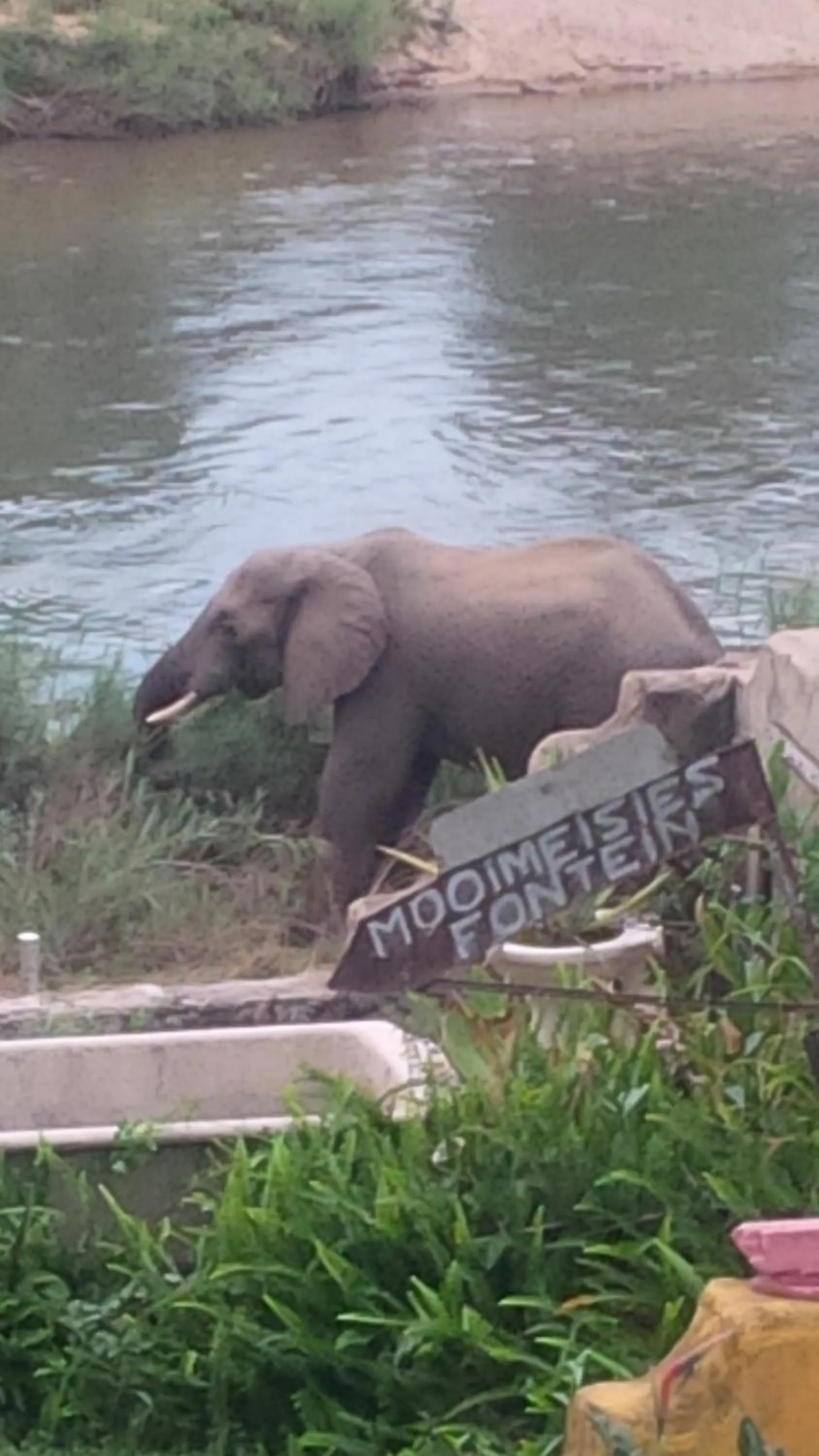 Property building in River House Lodge