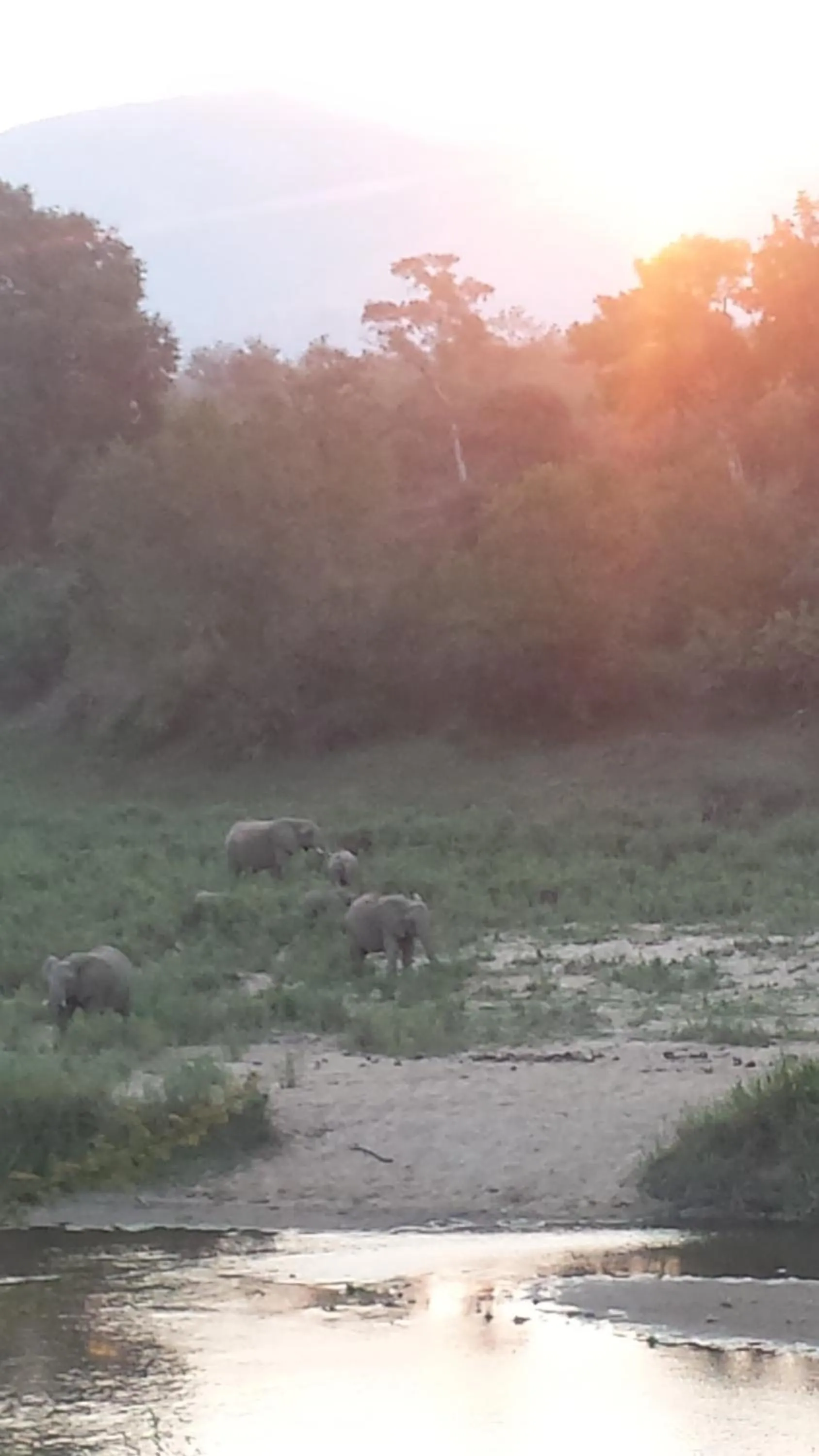 Property building in River House Lodge