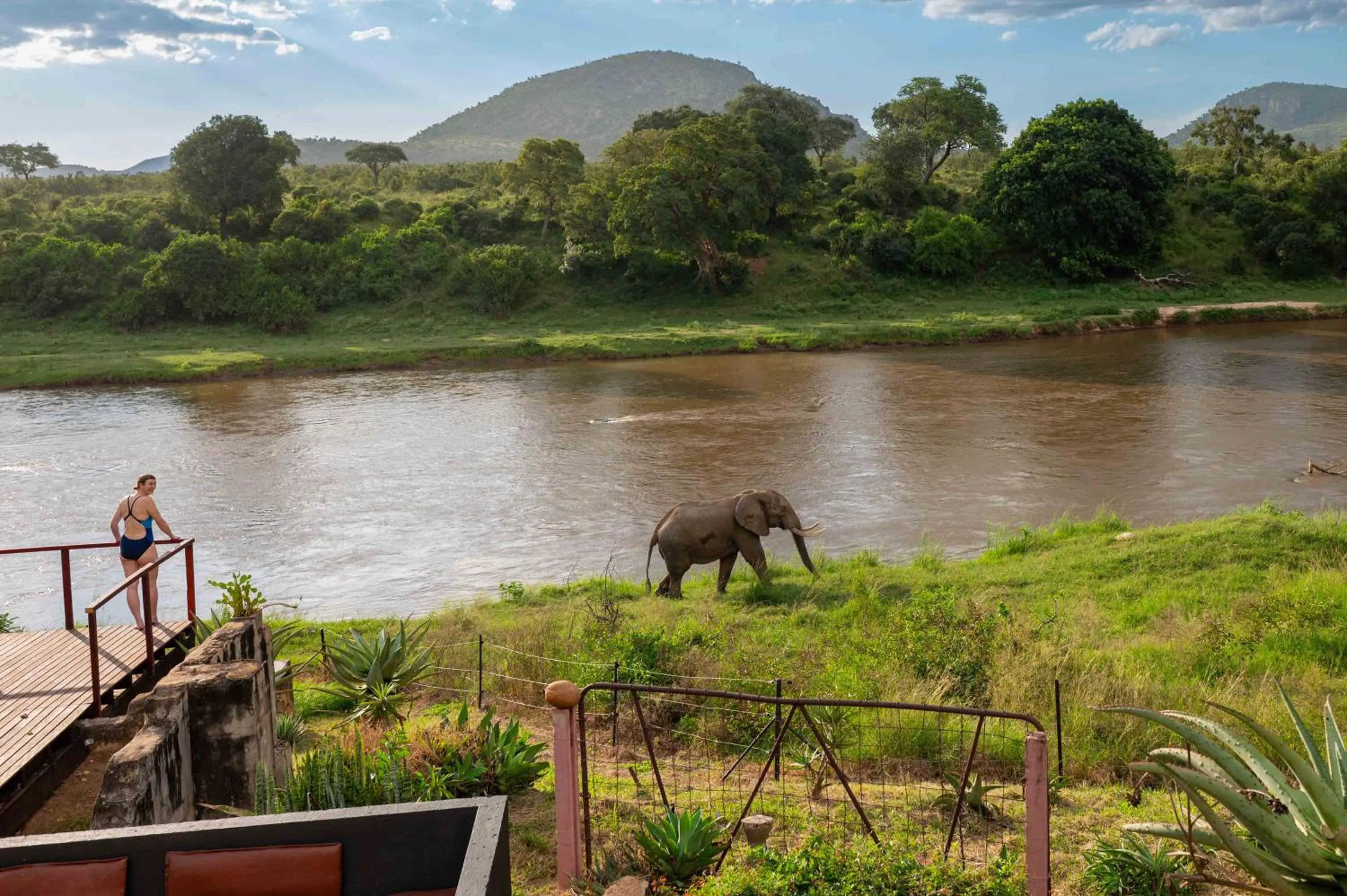Animals in River House Lodge