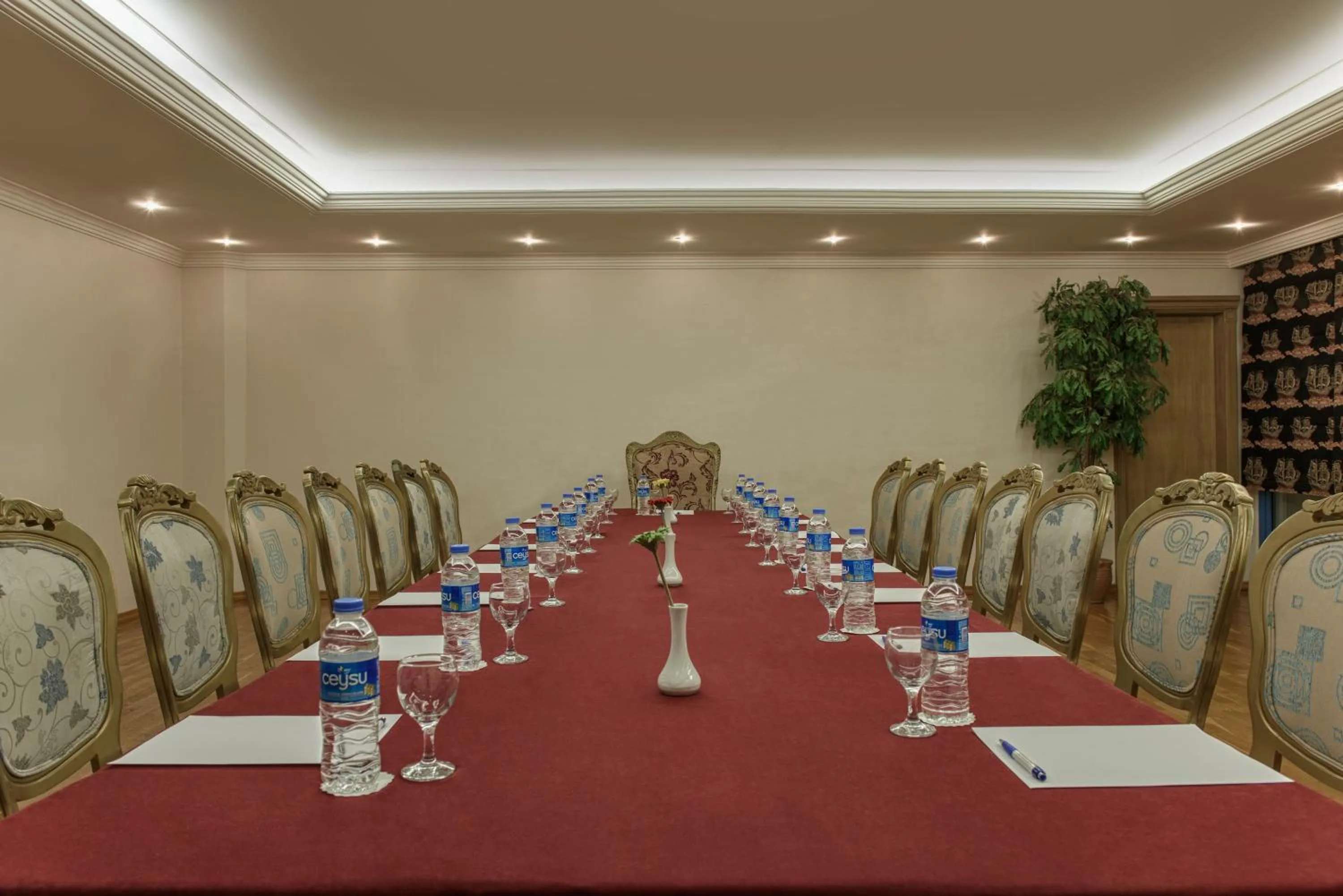 Meeting/conference room in Botanik Hotel