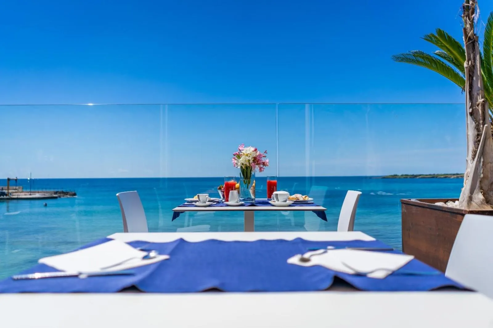 Restaurant/places to eat in White Bay