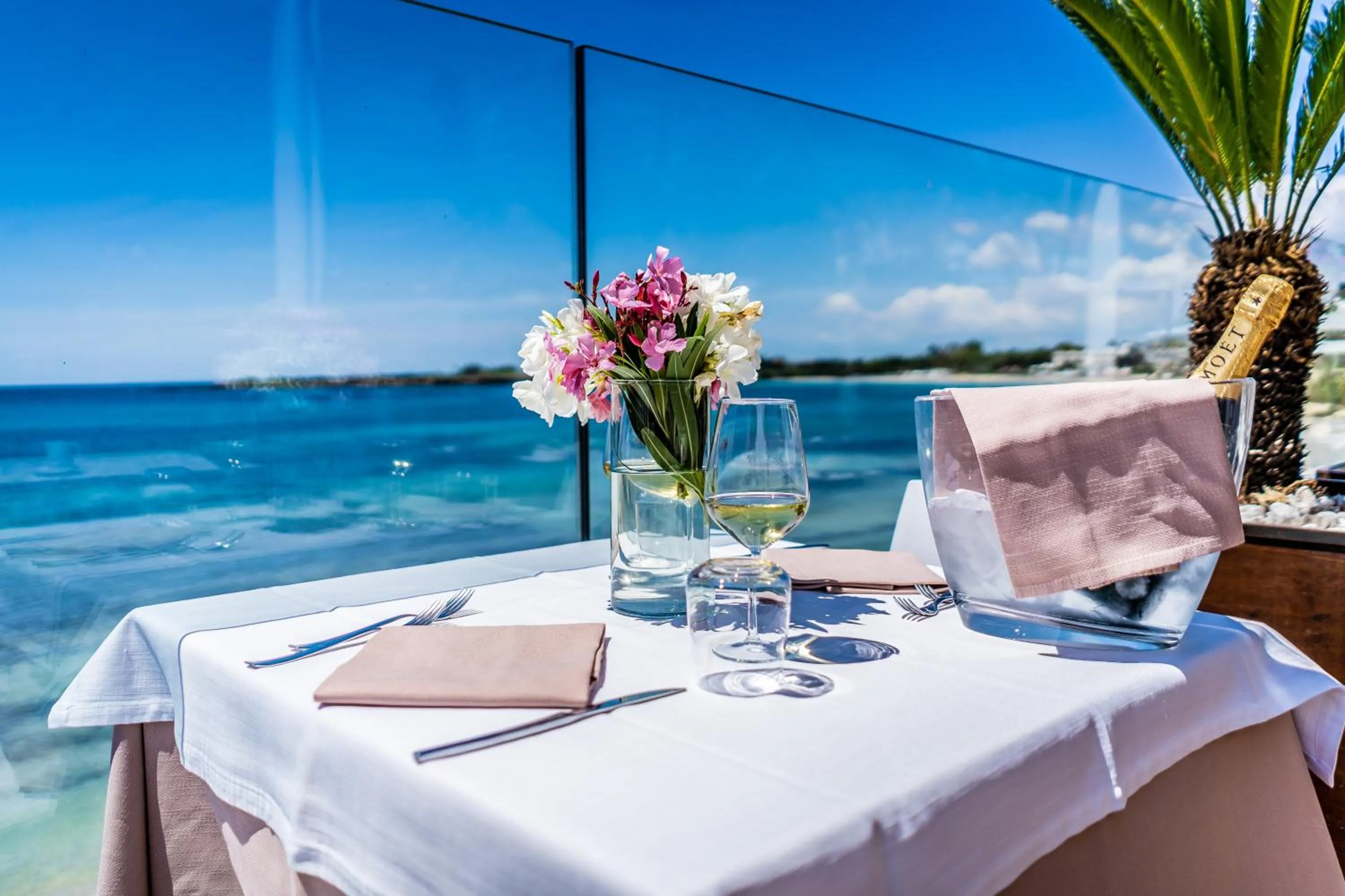 Lounge or bar in White Bay