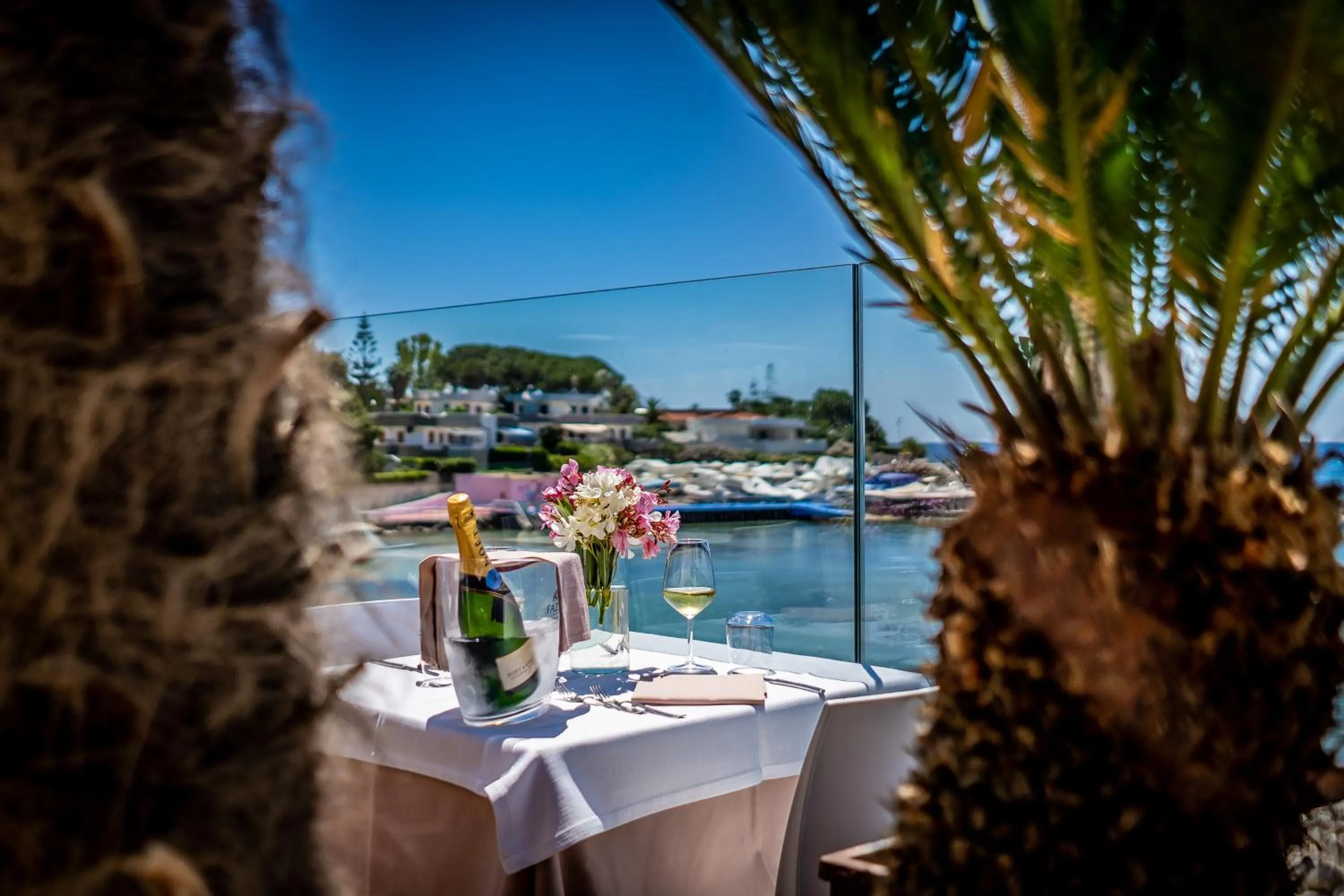 Lounge or bar in White Bay