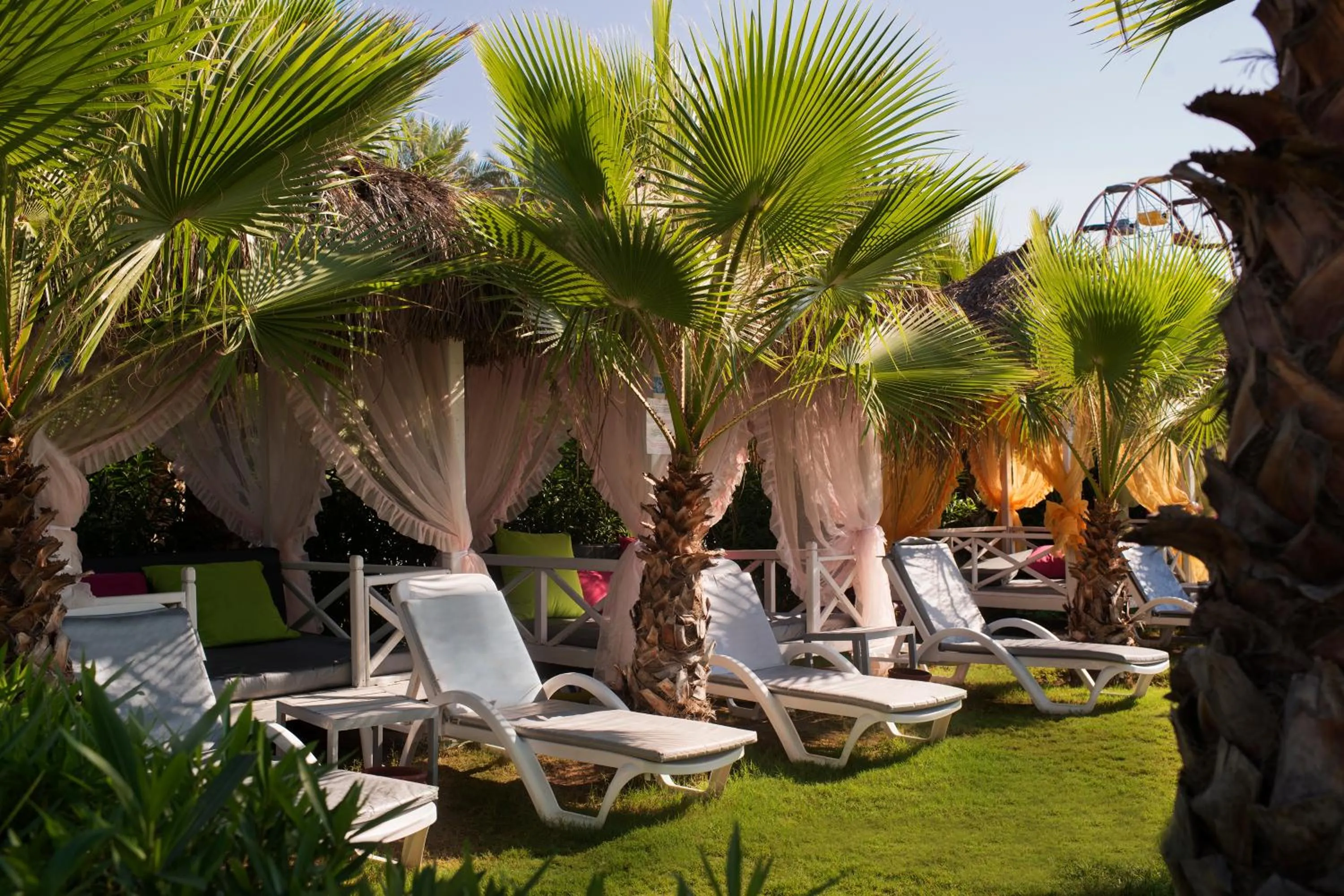 Garden in Delphin Diva Premiere