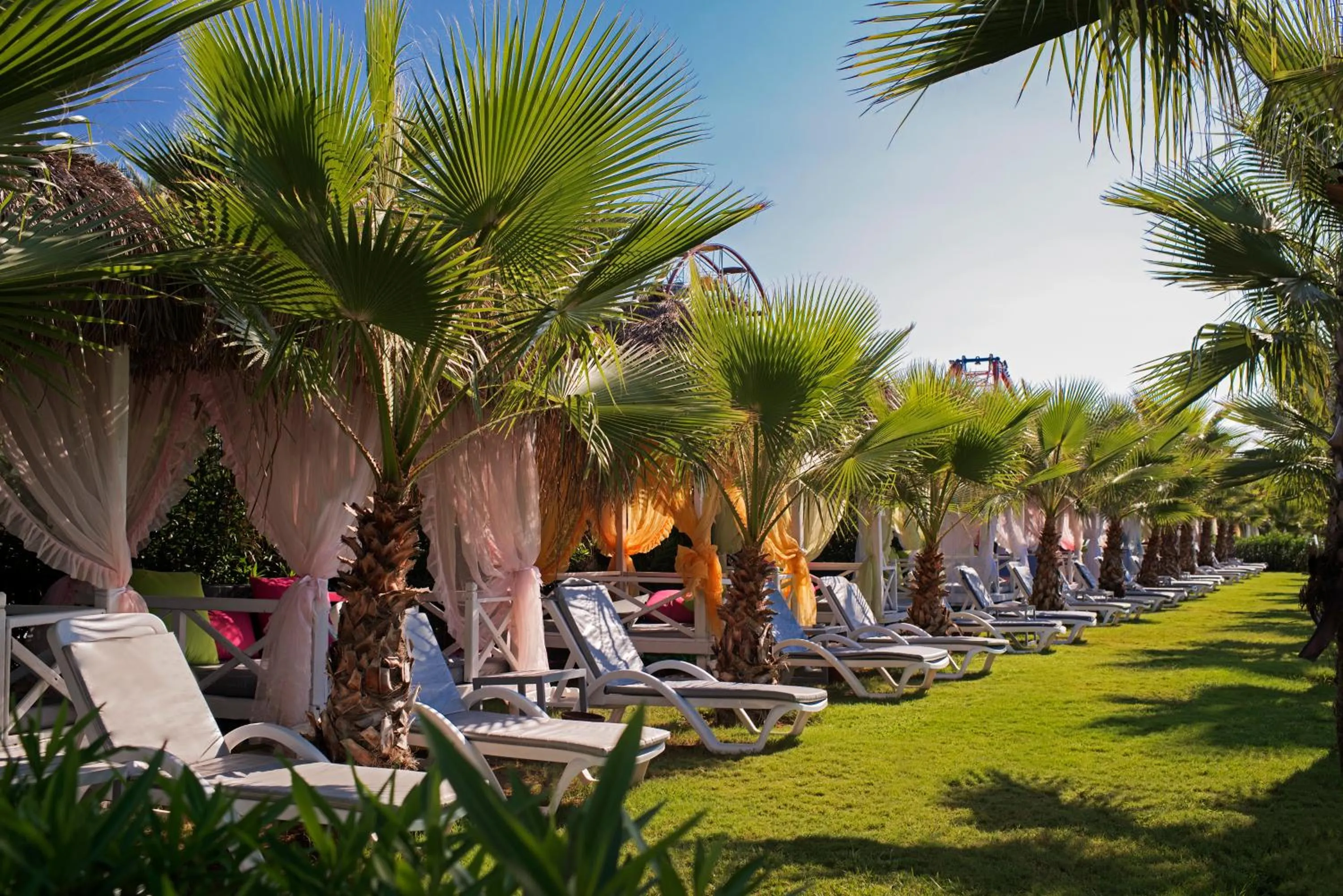 Garden in Delphin Diva Premiere