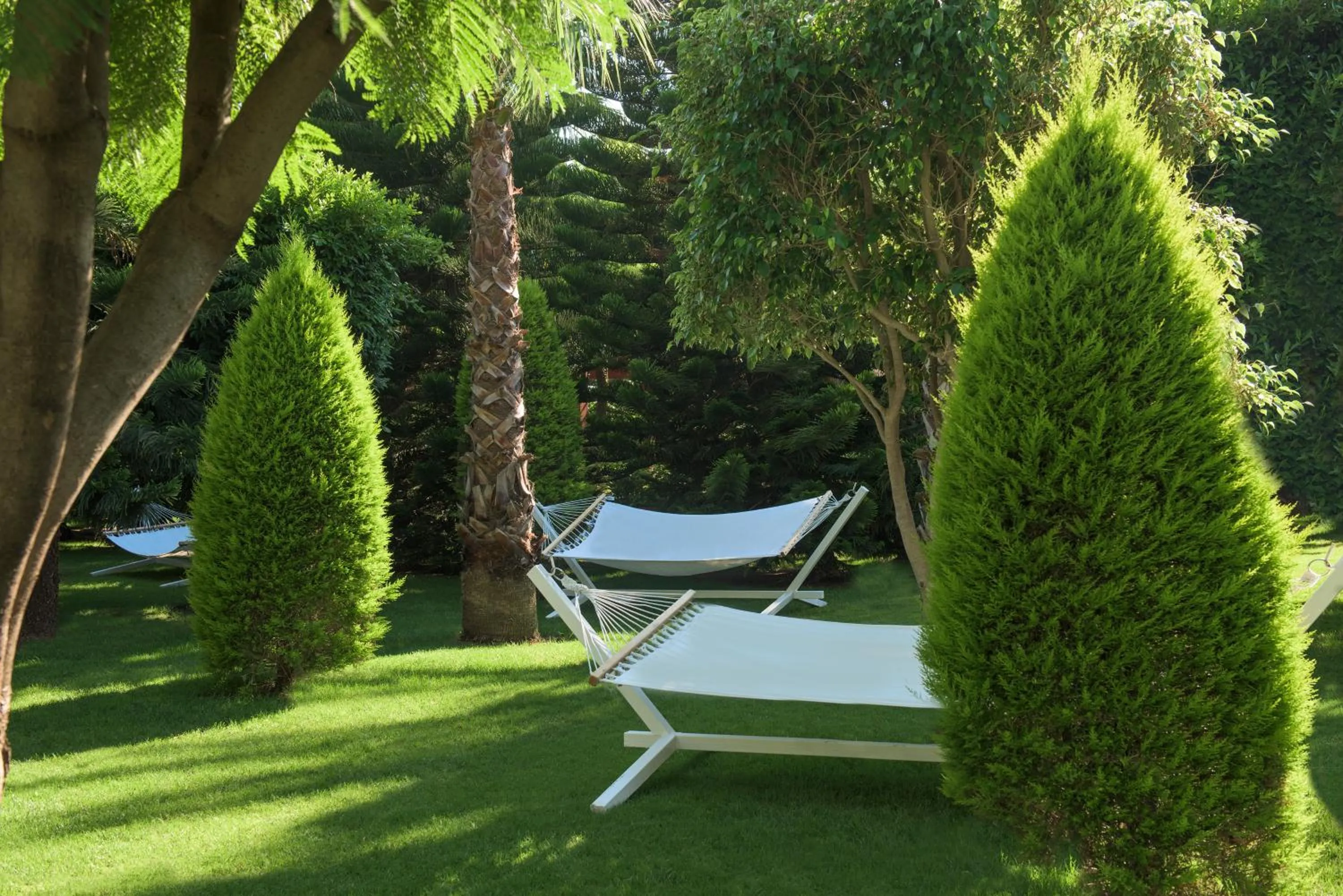 Garden in Delphin Diva Premiere