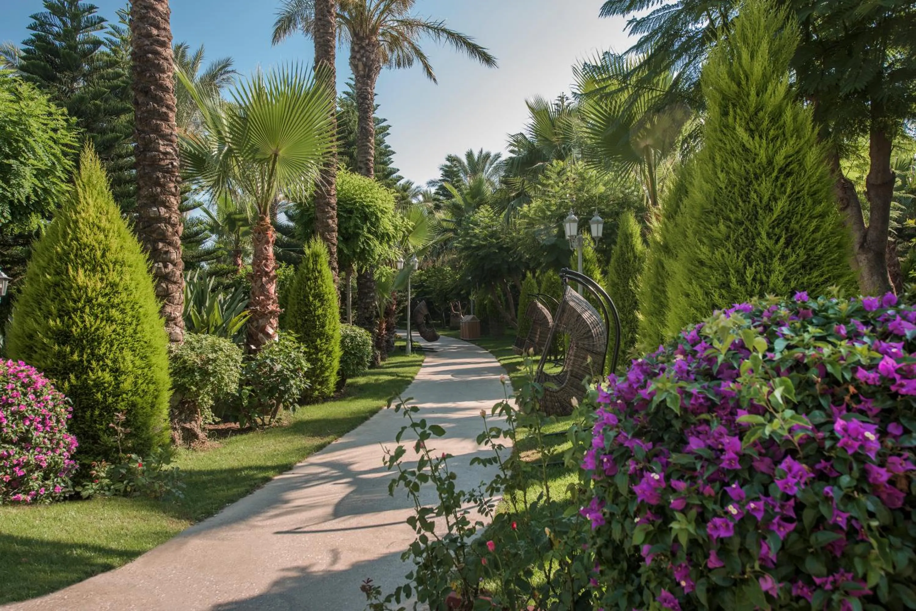 Garden in Delphin Diva Premiere