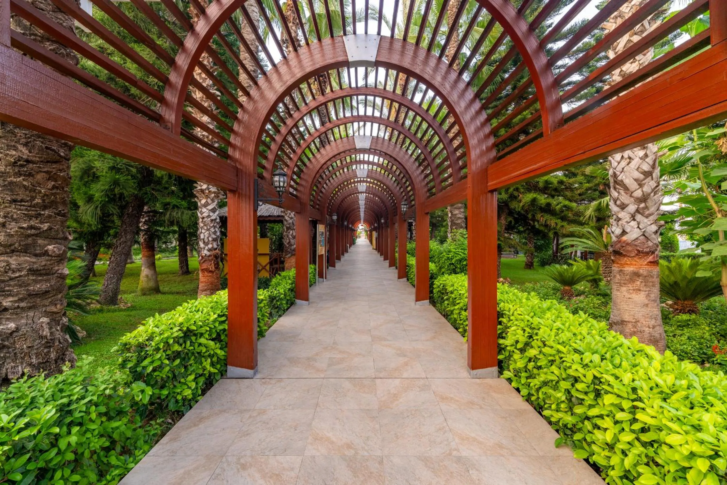 Other in Delphin Diva Premiere