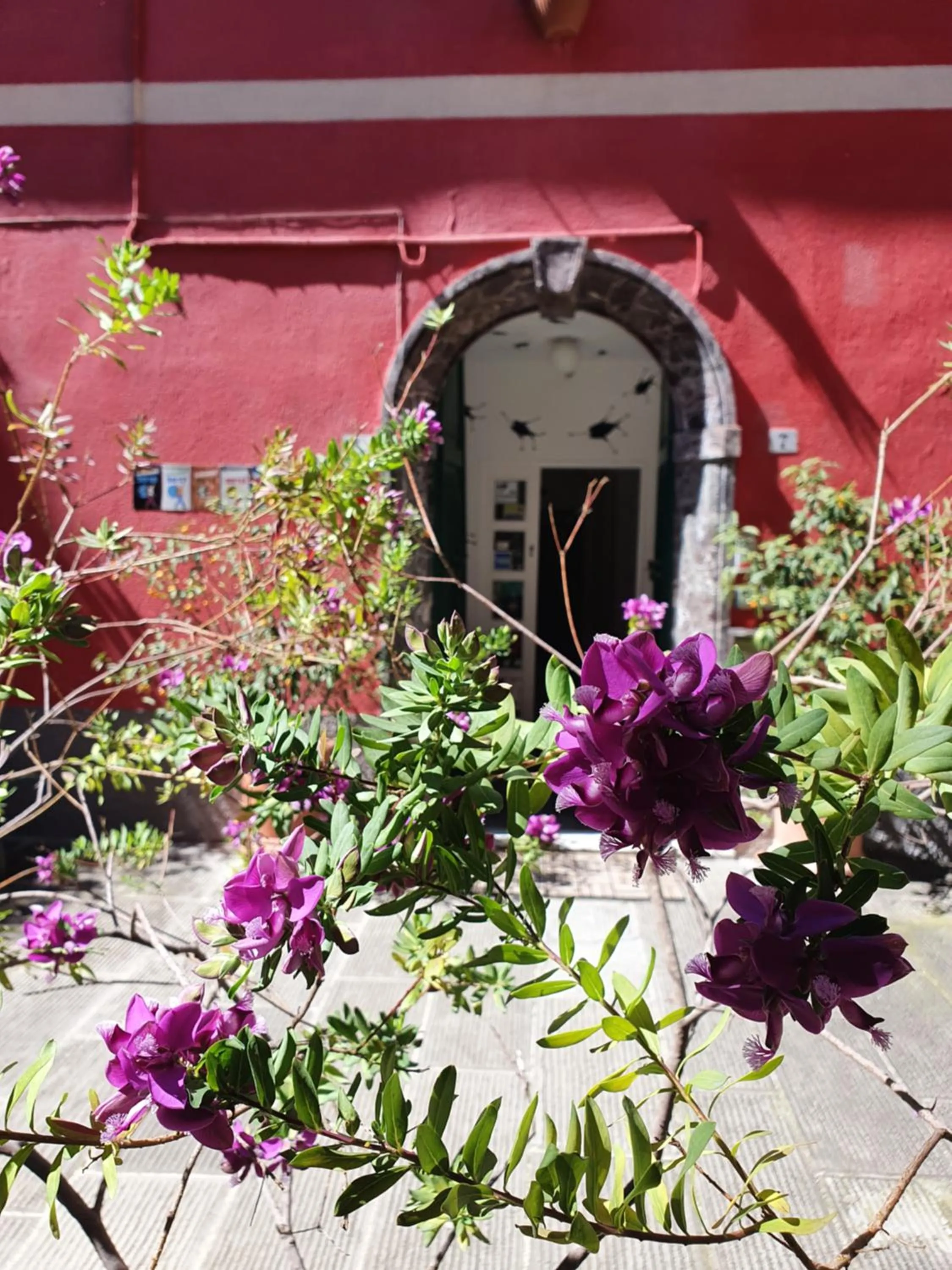 Facade/entrance in Boutique Hotel Novecento