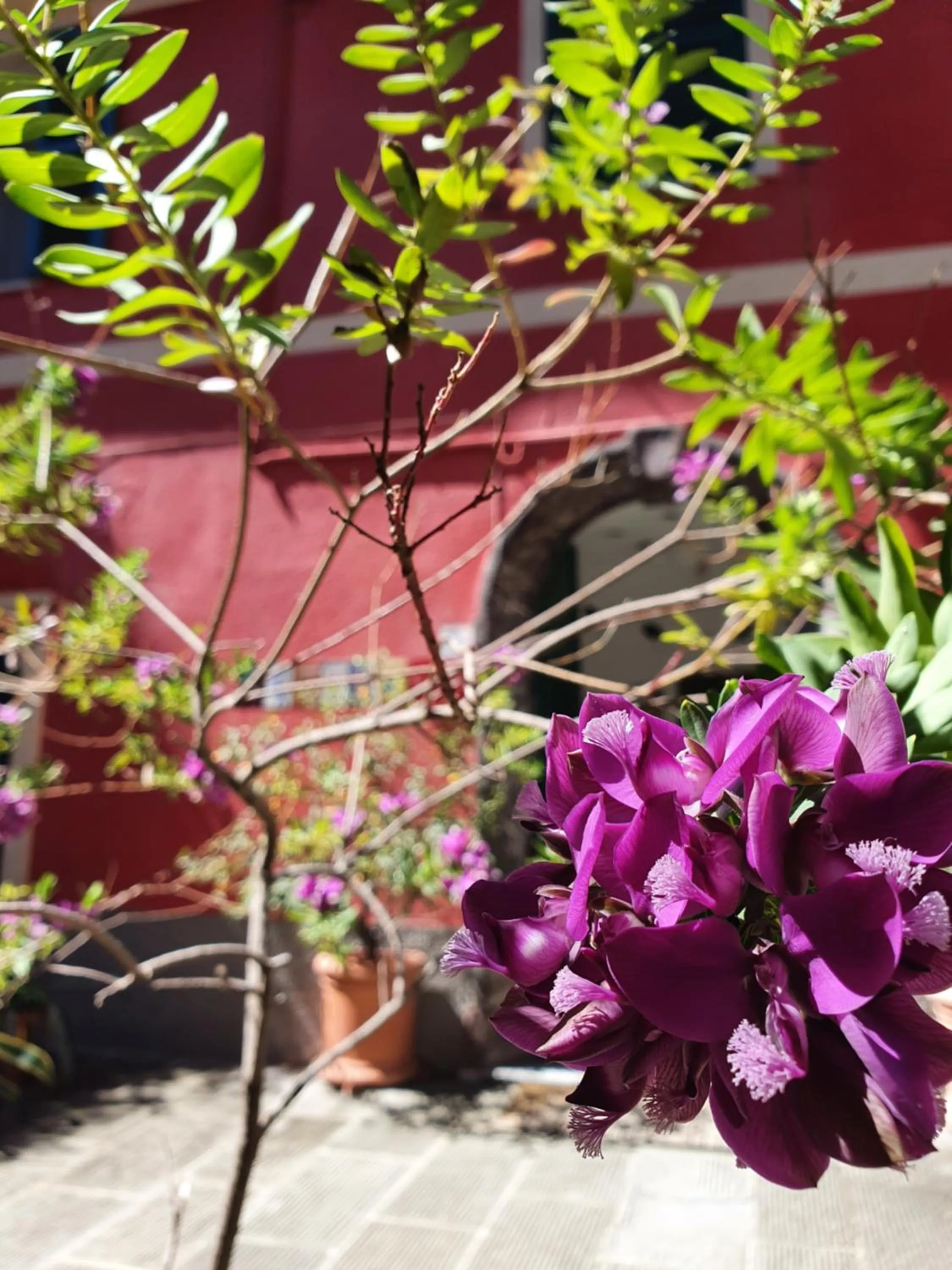 Property building in Boutique Hotel Novecento