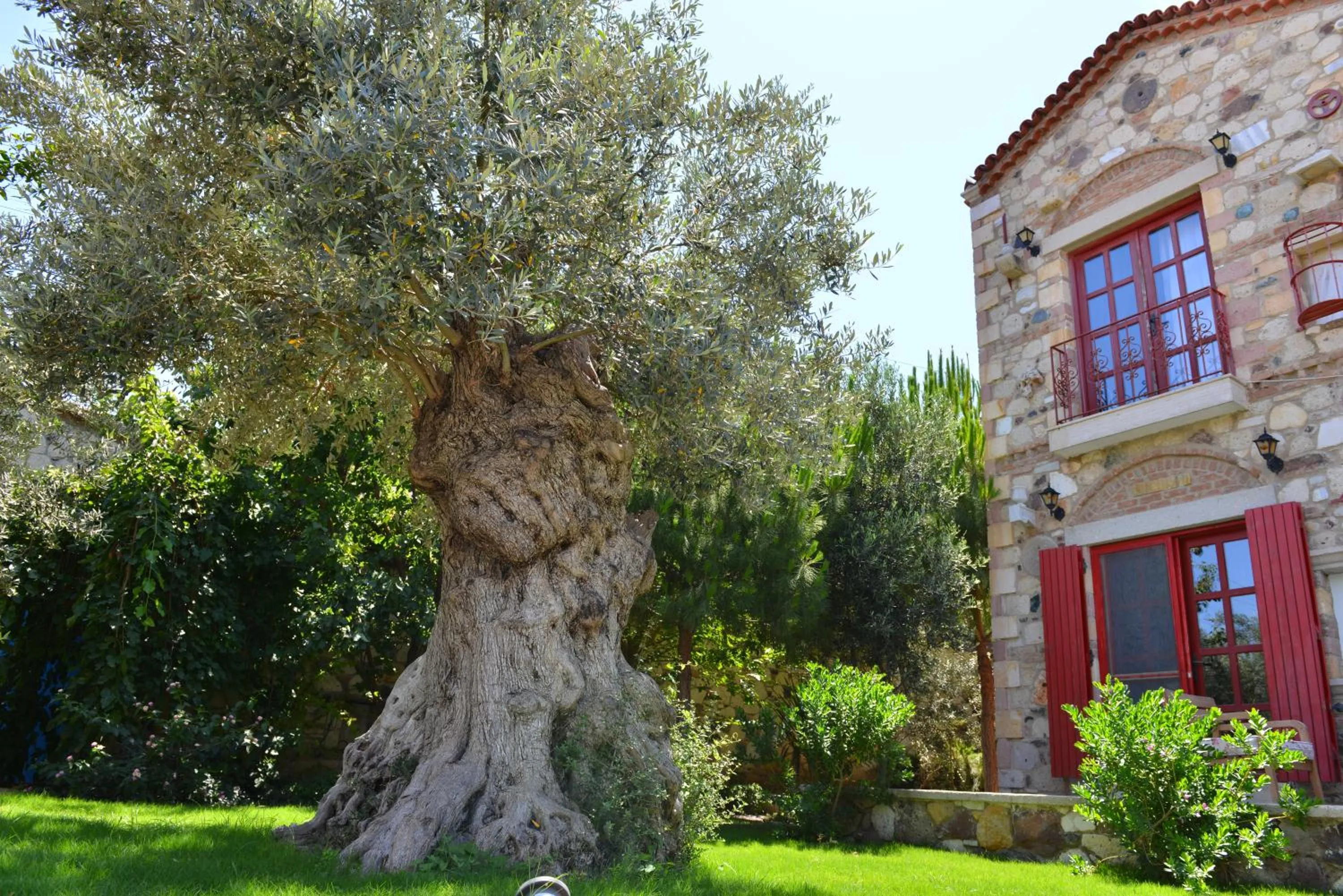 Day in Alacati Zeytin Konak Hotel