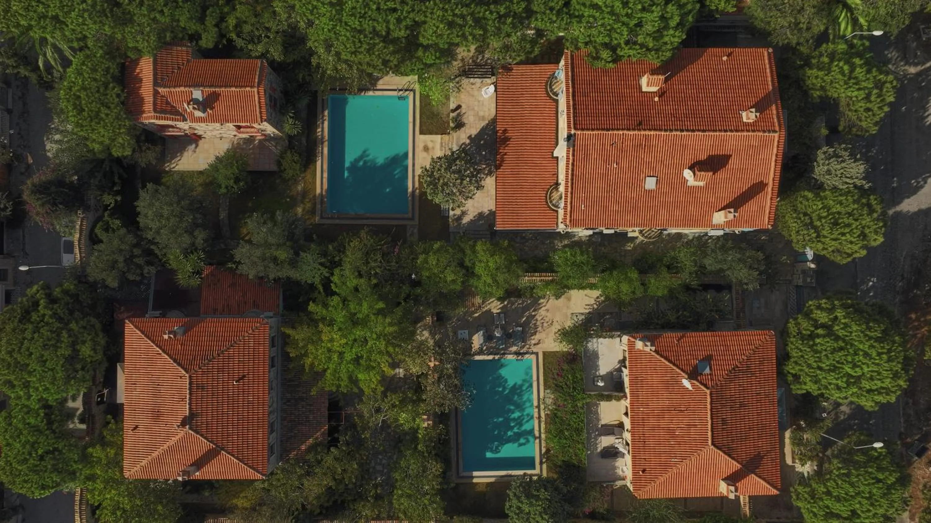 Garden in Alacati Zeytin Konak Hotel
