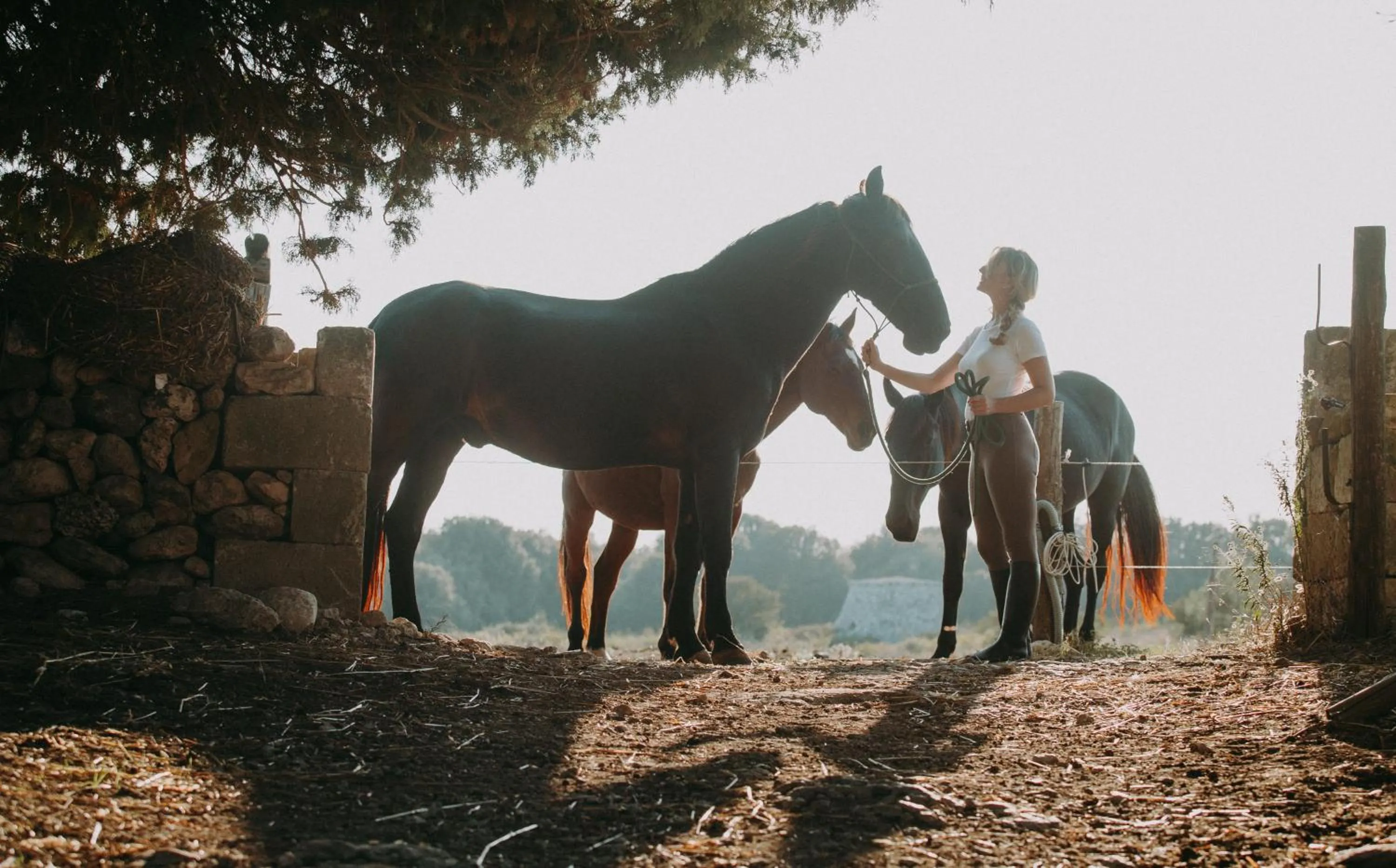 Horse-riding in Acaya Golf Resort & Spa