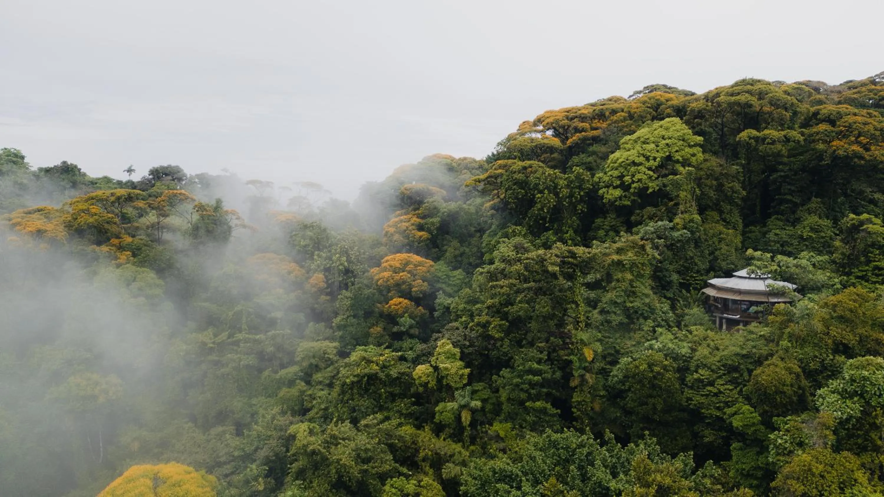 La Loma Jungle Lodge and Chocolate Farm
