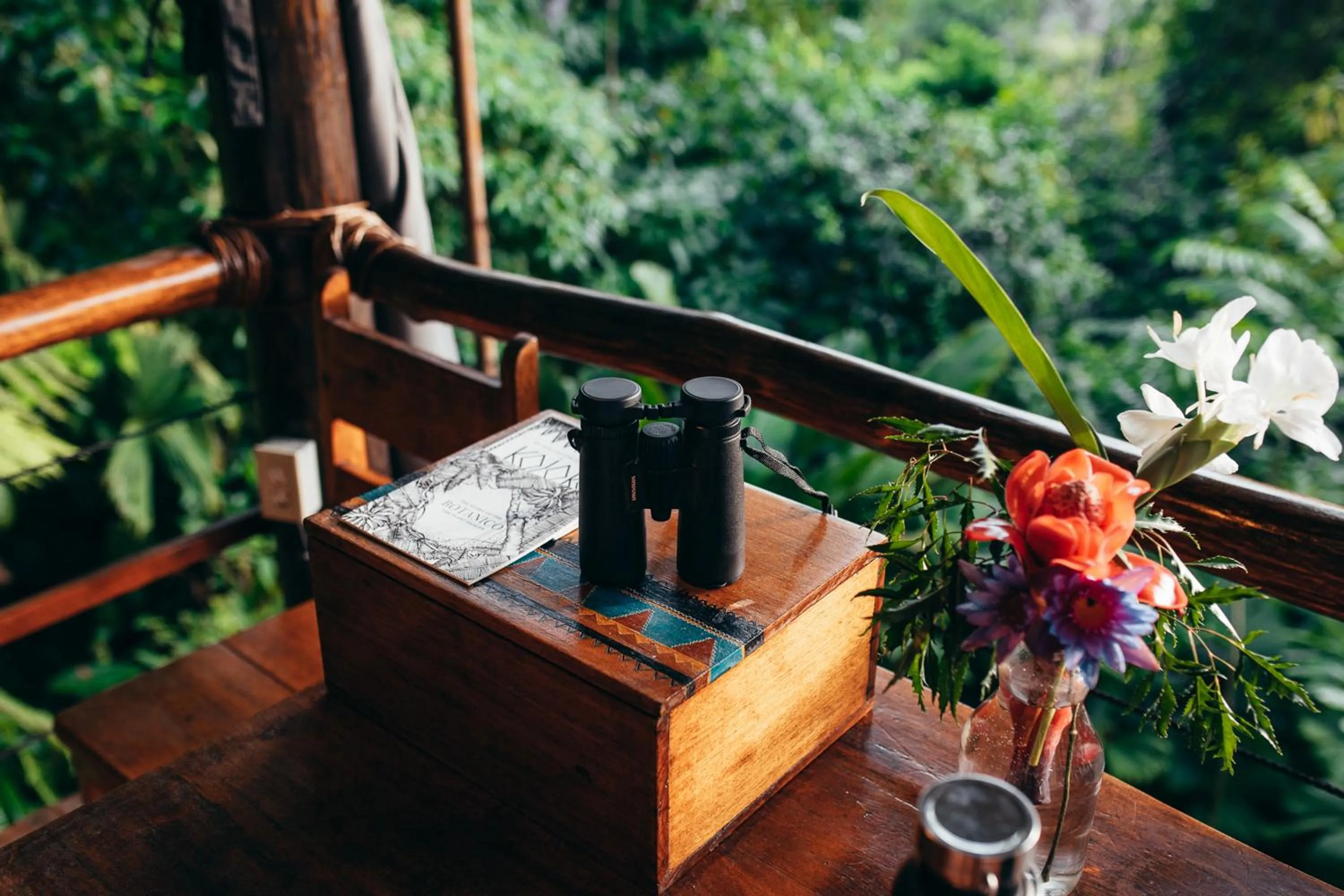 La Loma Jungle Lodge and Chocolate Farm