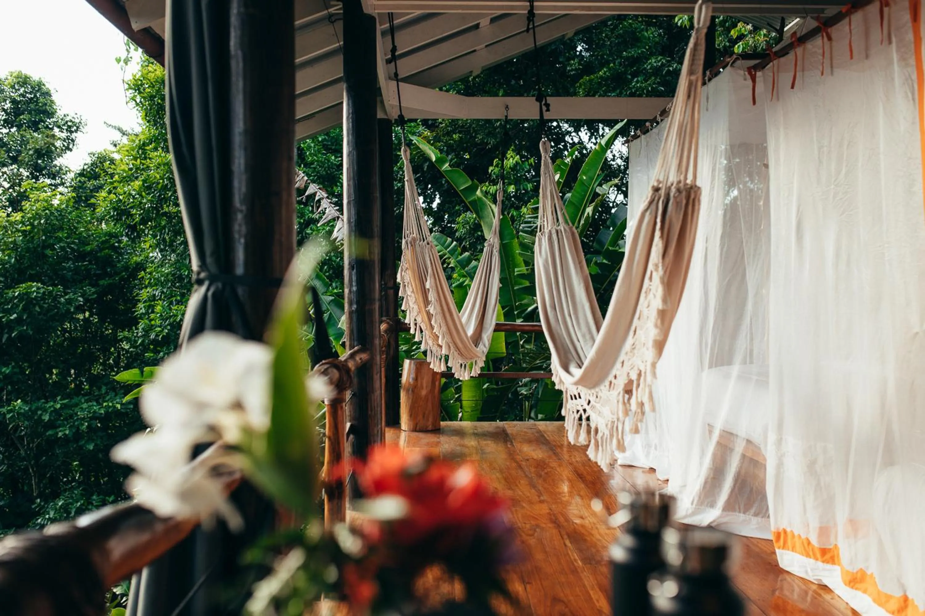 La Loma Jungle Lodge and Chocolate Farm