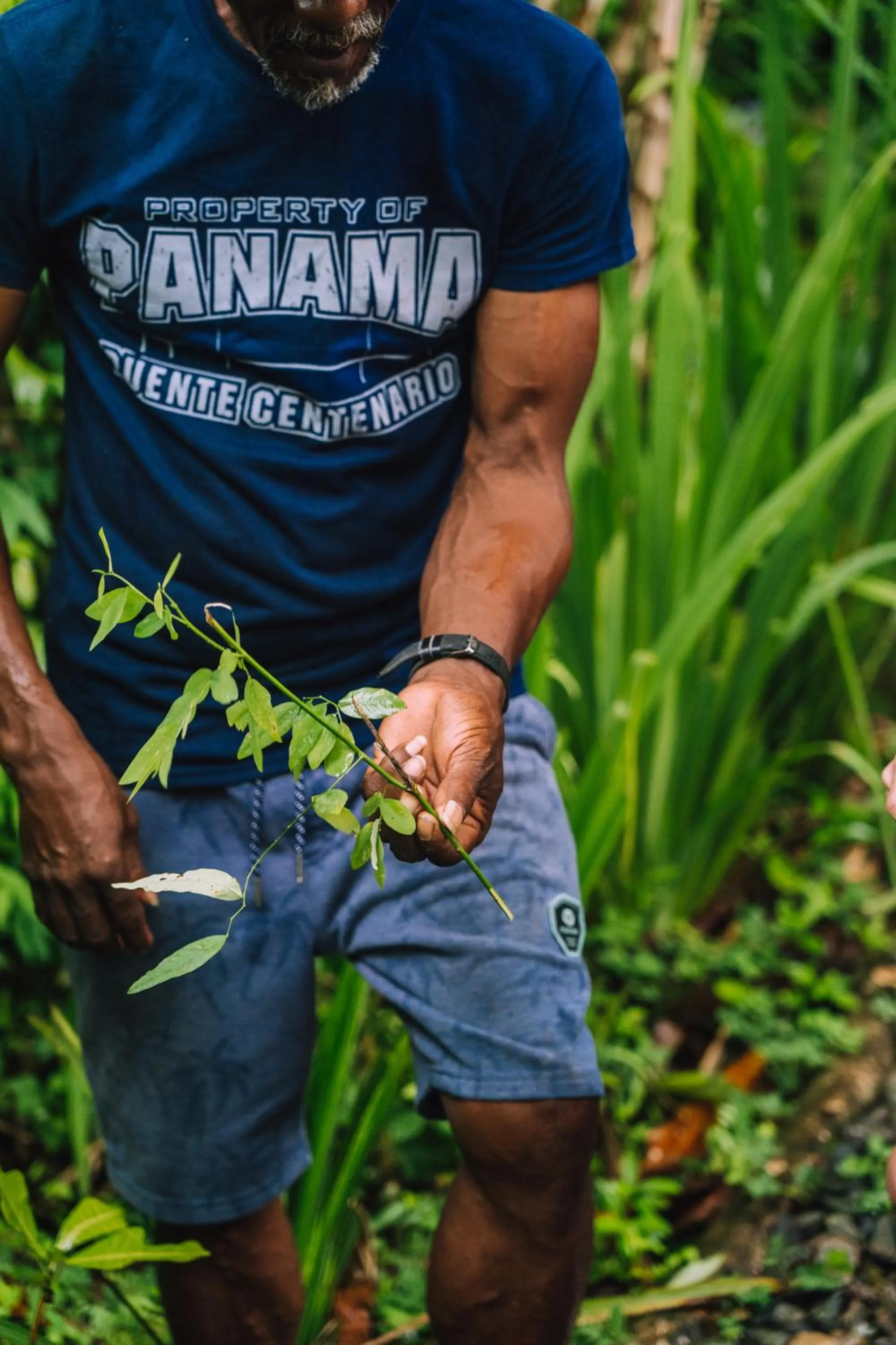 La Loma Jungle Lodge and Chocolate Farm