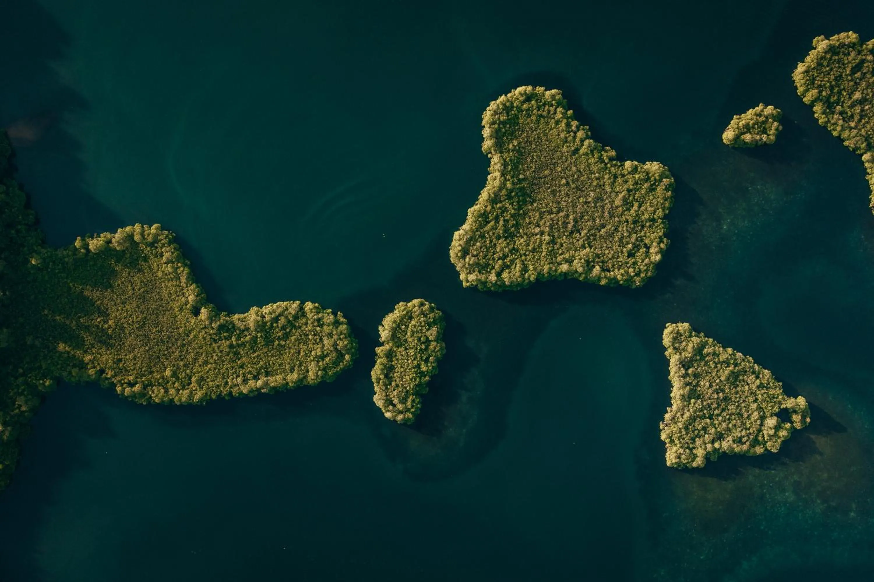 La Loma Jungle Lodge and Chocolate Farm