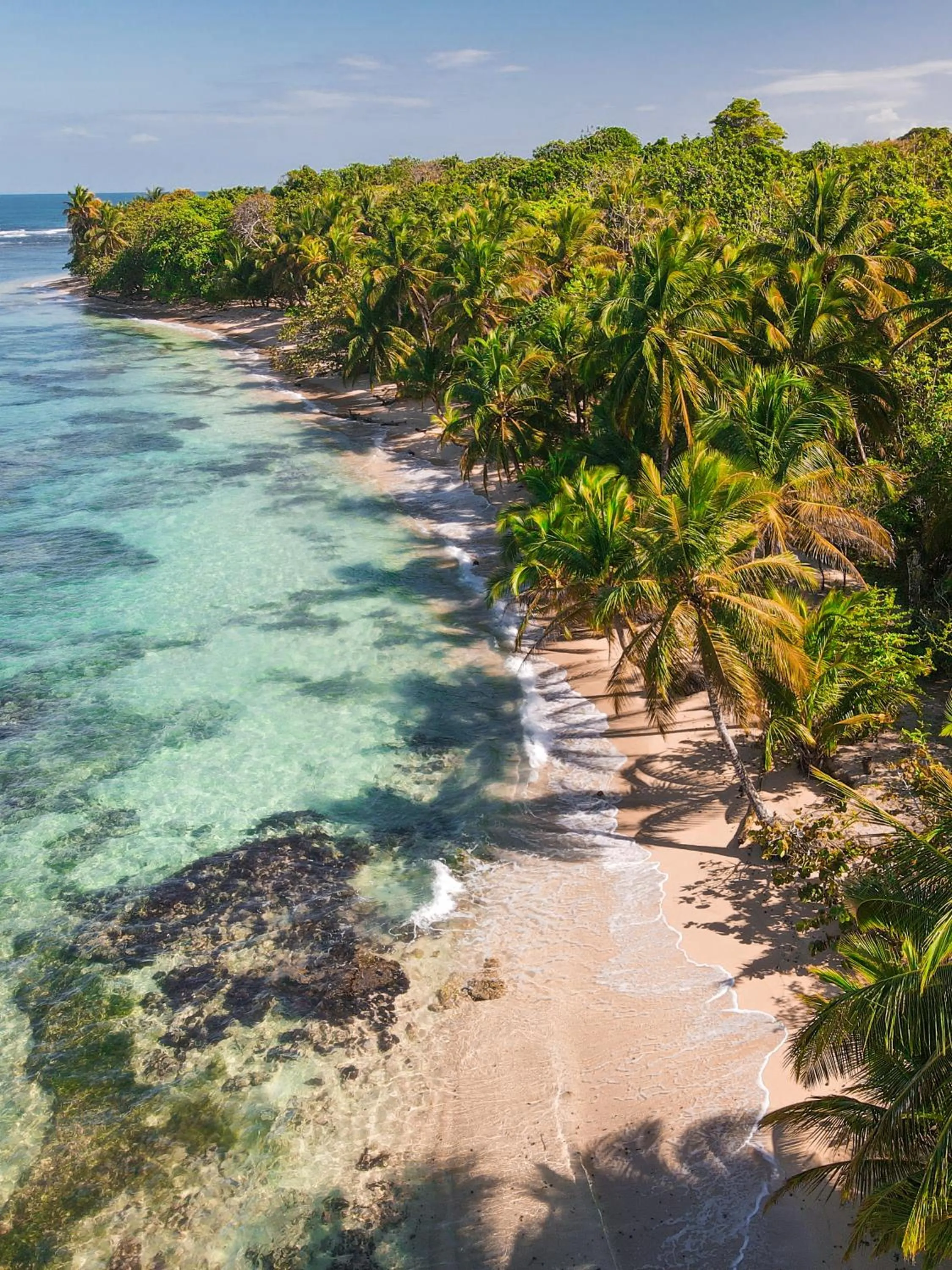 La Loma Jungle Lodge and Chocolate Farm