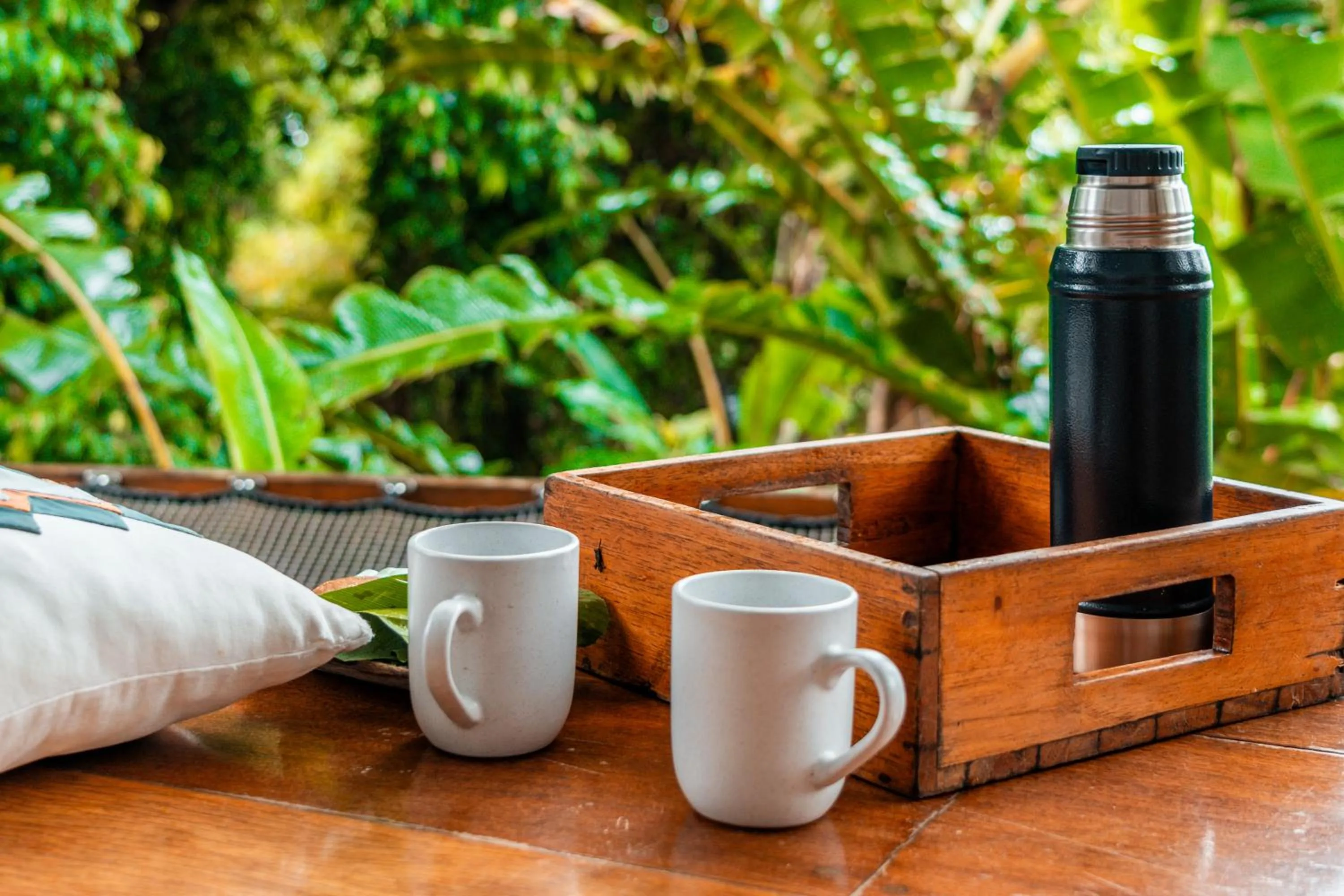 La Loma Jungle Lodge and Chocolate Farm