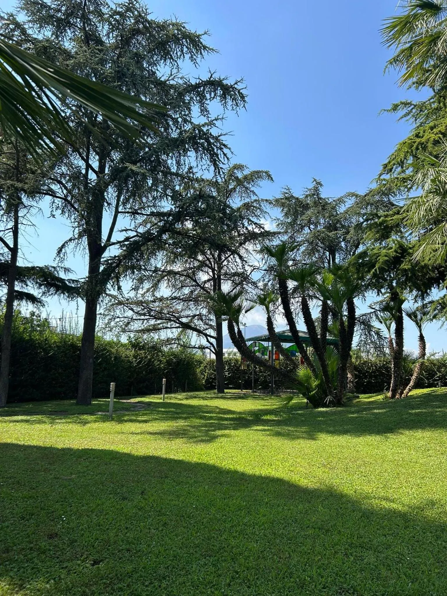 Garden in Hotel Giovanna