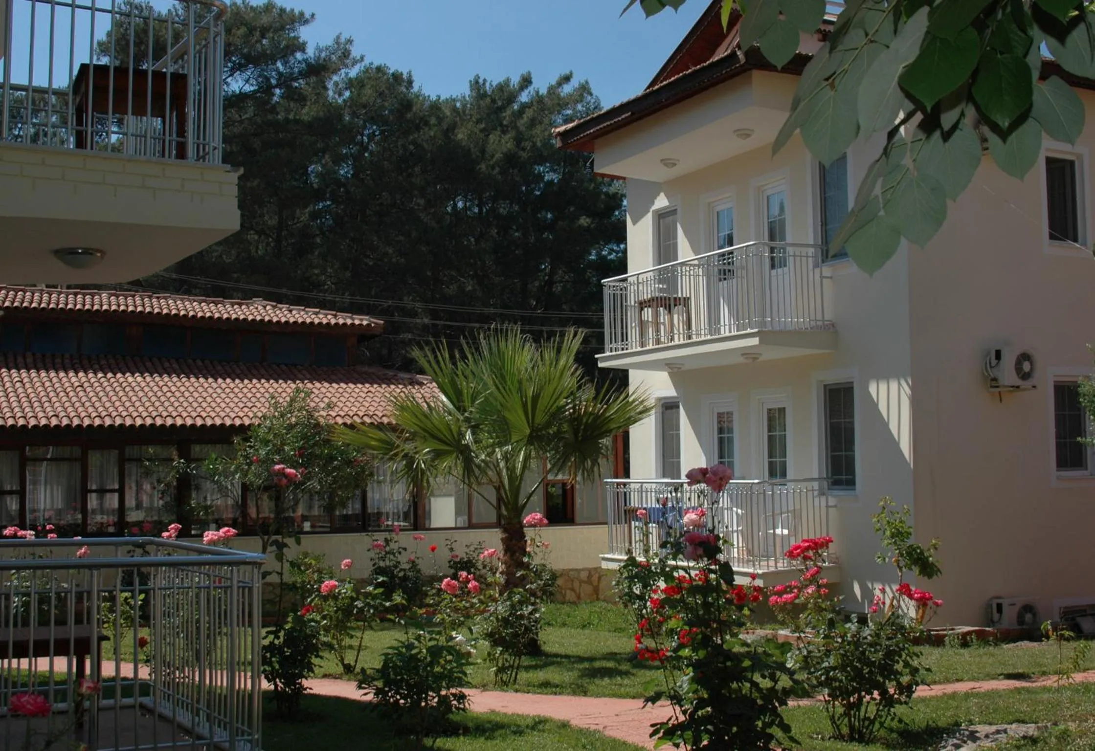 Garden in Tolay Hotel