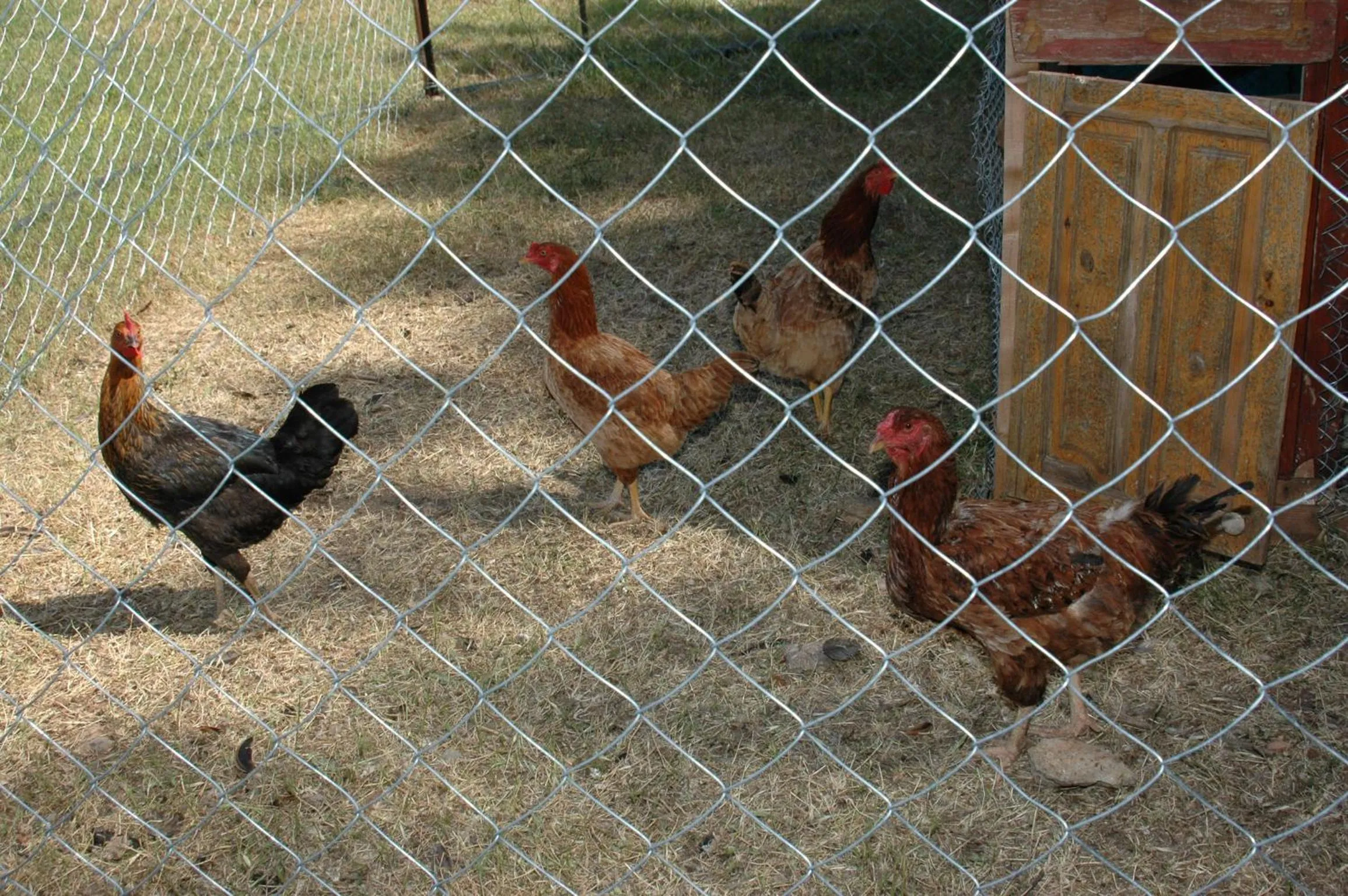 Garden in Tolay Hotel