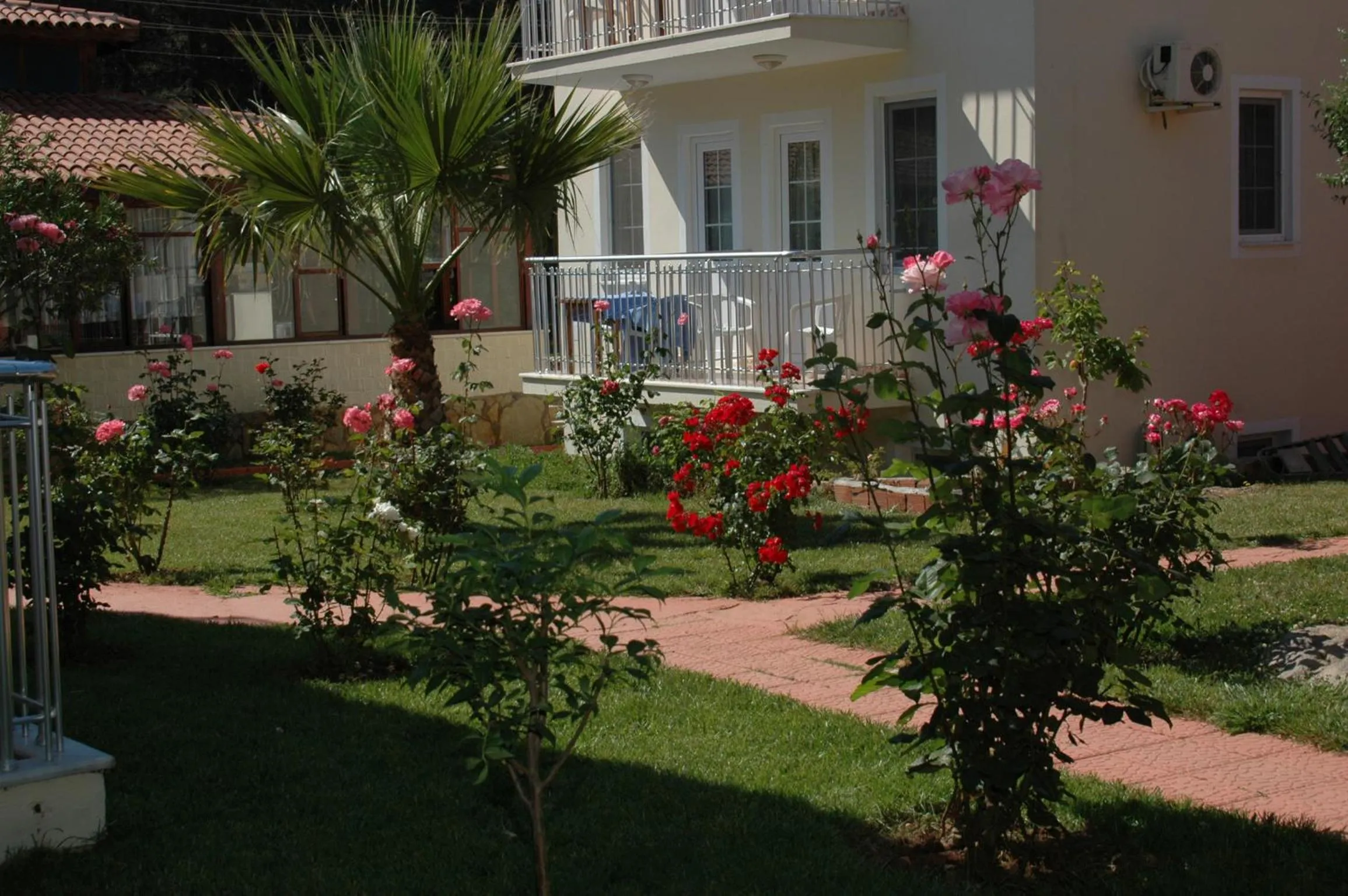 Garden in Tolay Hotel