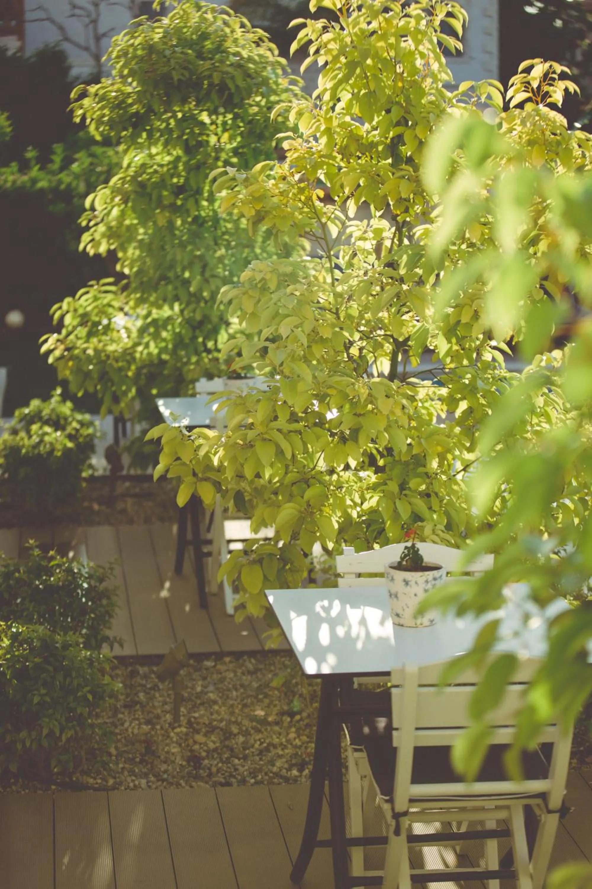 Garden view in Levin Hotel Alacati