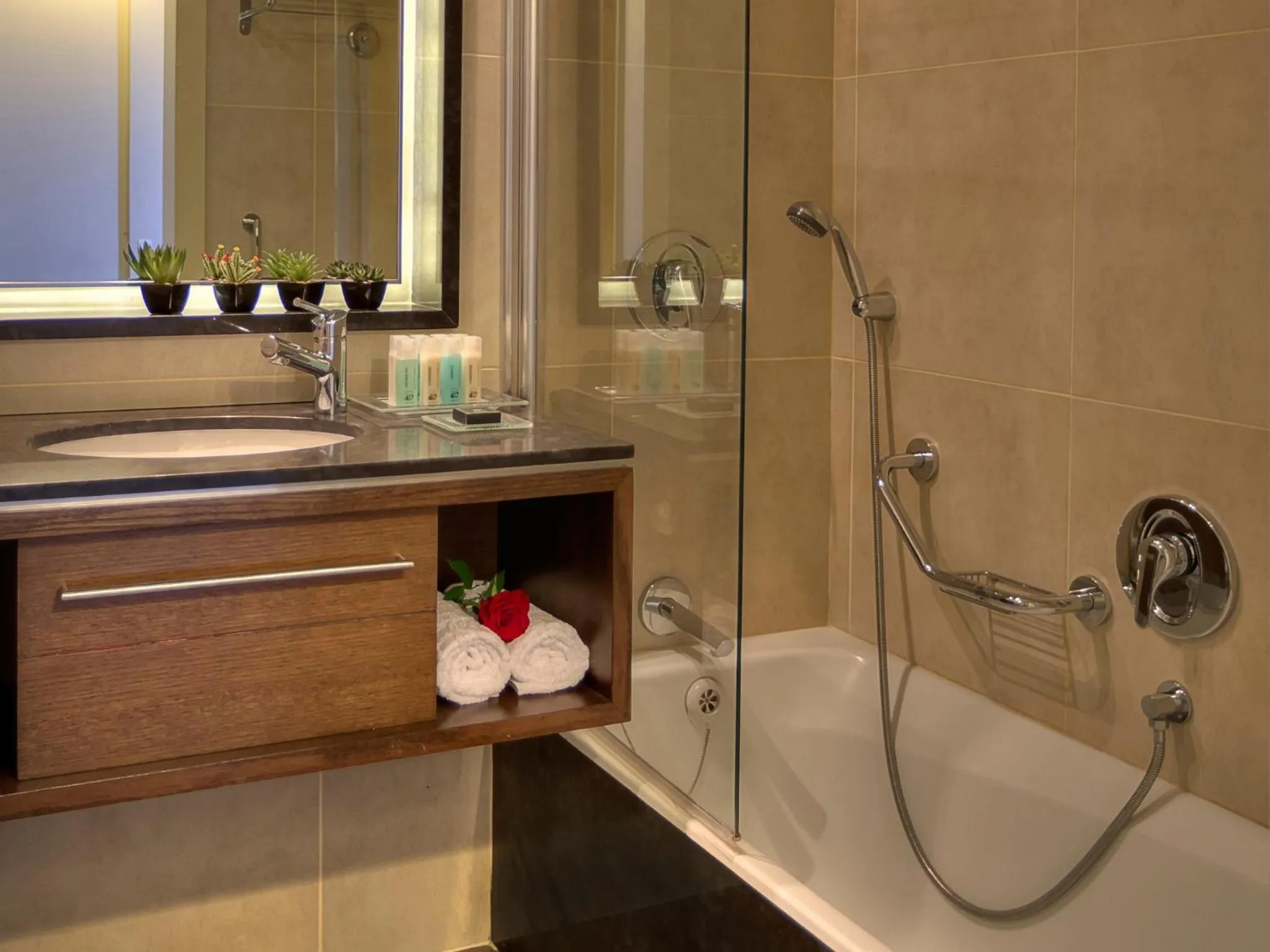 Shower in Dan Panorama Jerusalem Hotel