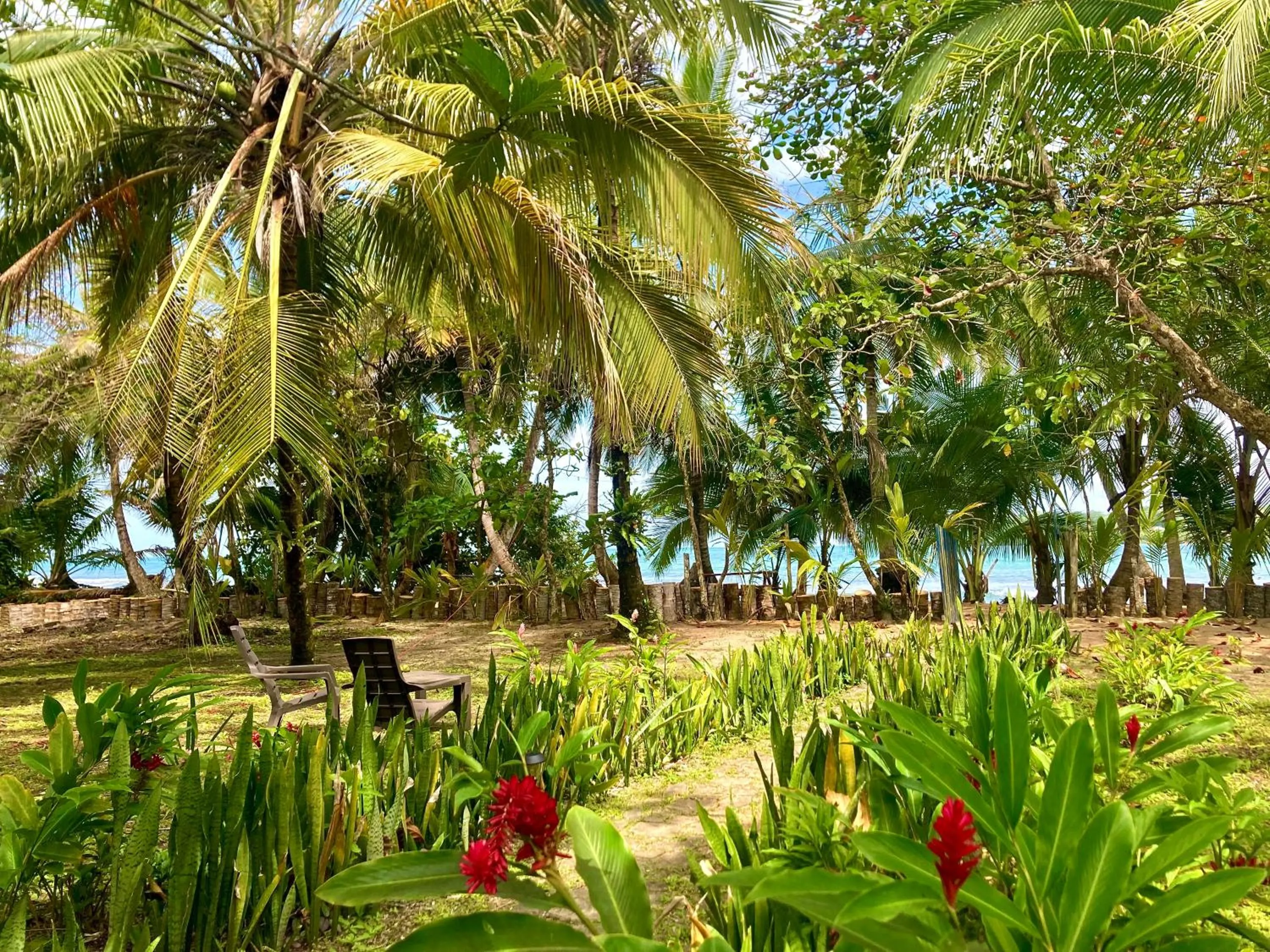 Garden in Drago Beach House - Private Beach