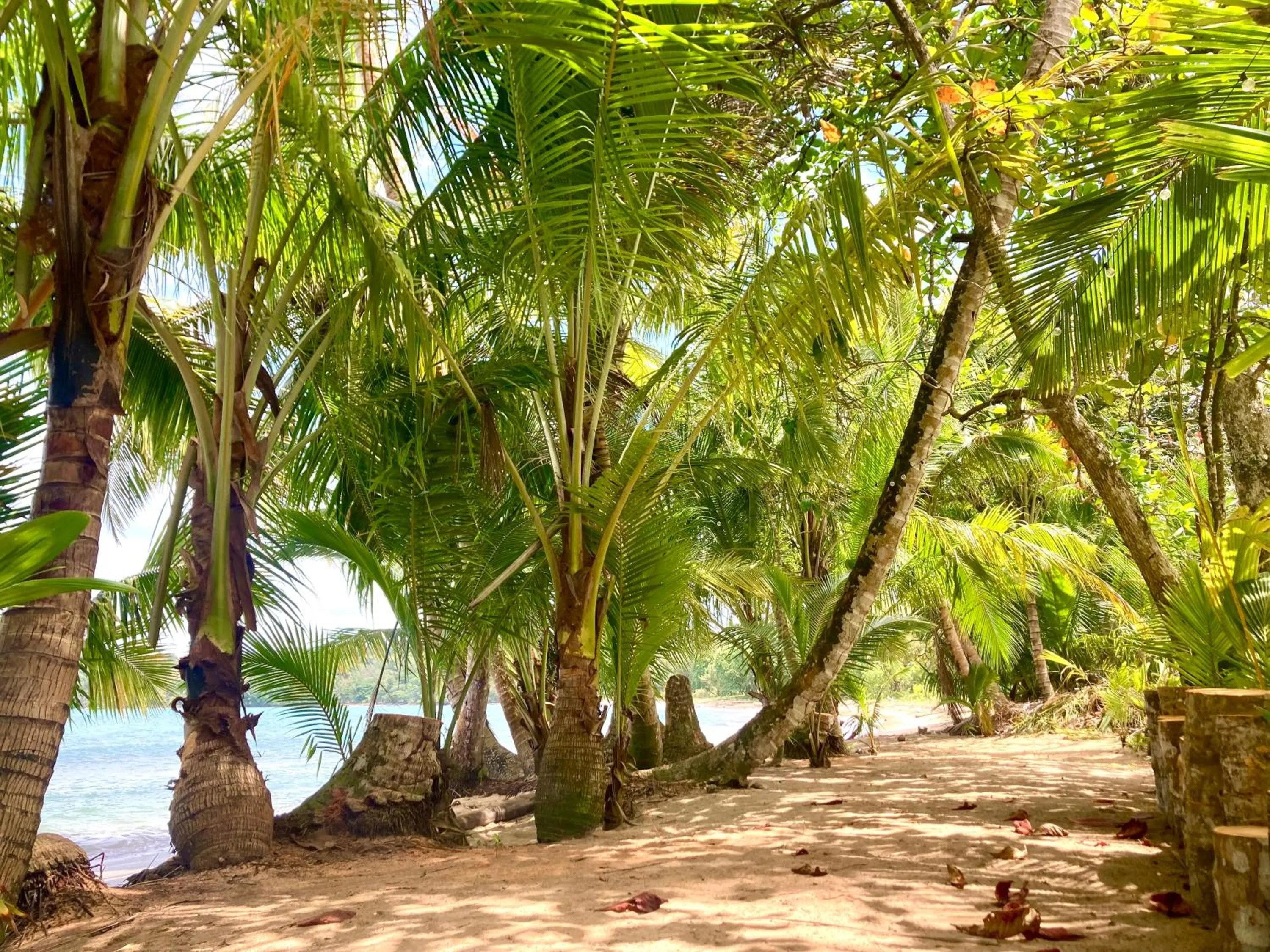 Drago Beach House - Private Beach